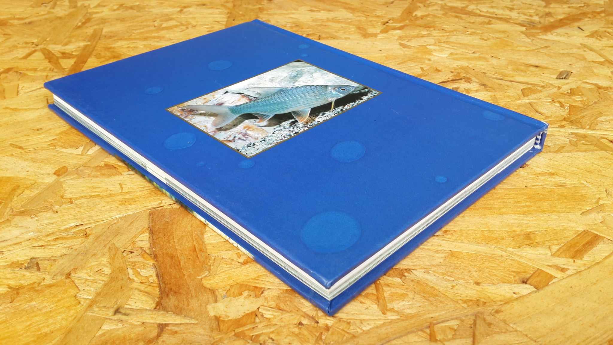 สารานุกรม ปลาไทย / สุรศักดิ์ วงศ์กิตติเวช