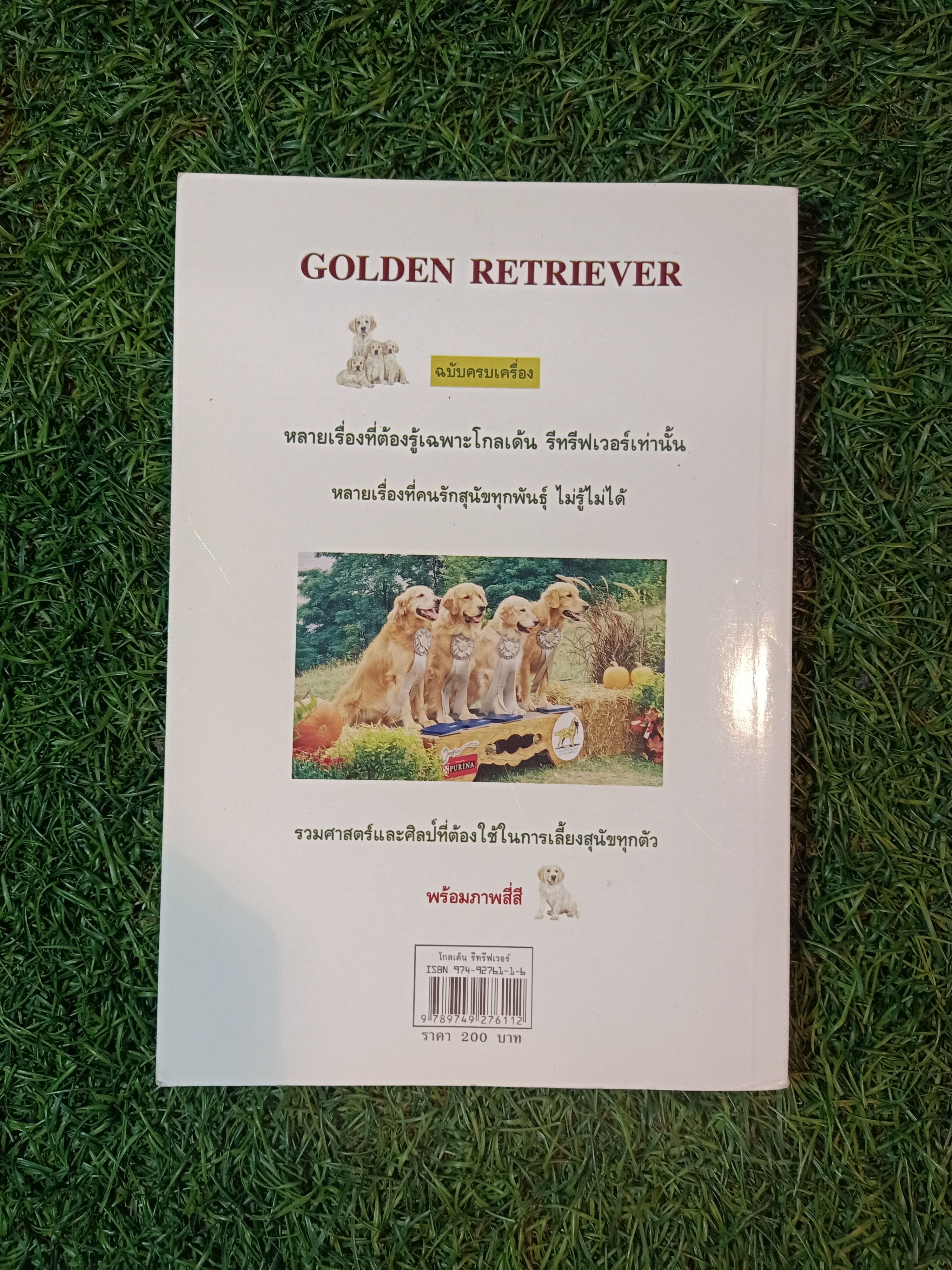 โกลเด้น รีทรีฟเวอร์ / เหมพันธ์ เหมวรนันท์