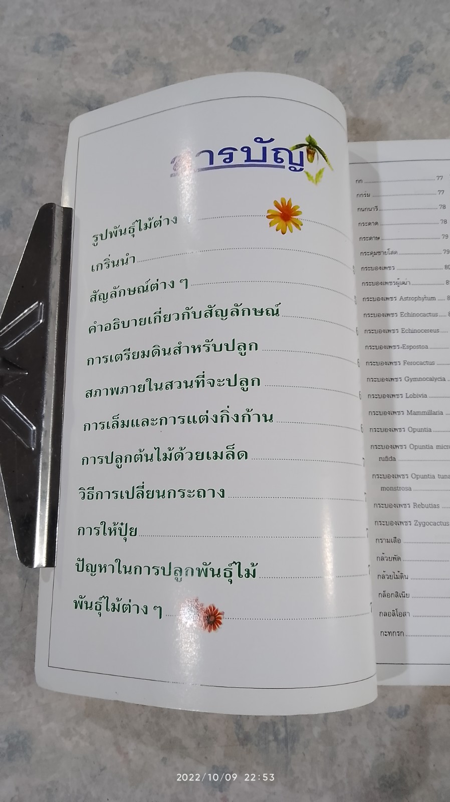 ฉันรักต้นไม้ ด้วยรักและหมั่นรดน้ำพรวนดิน (มีรอยโดนน้ำ)