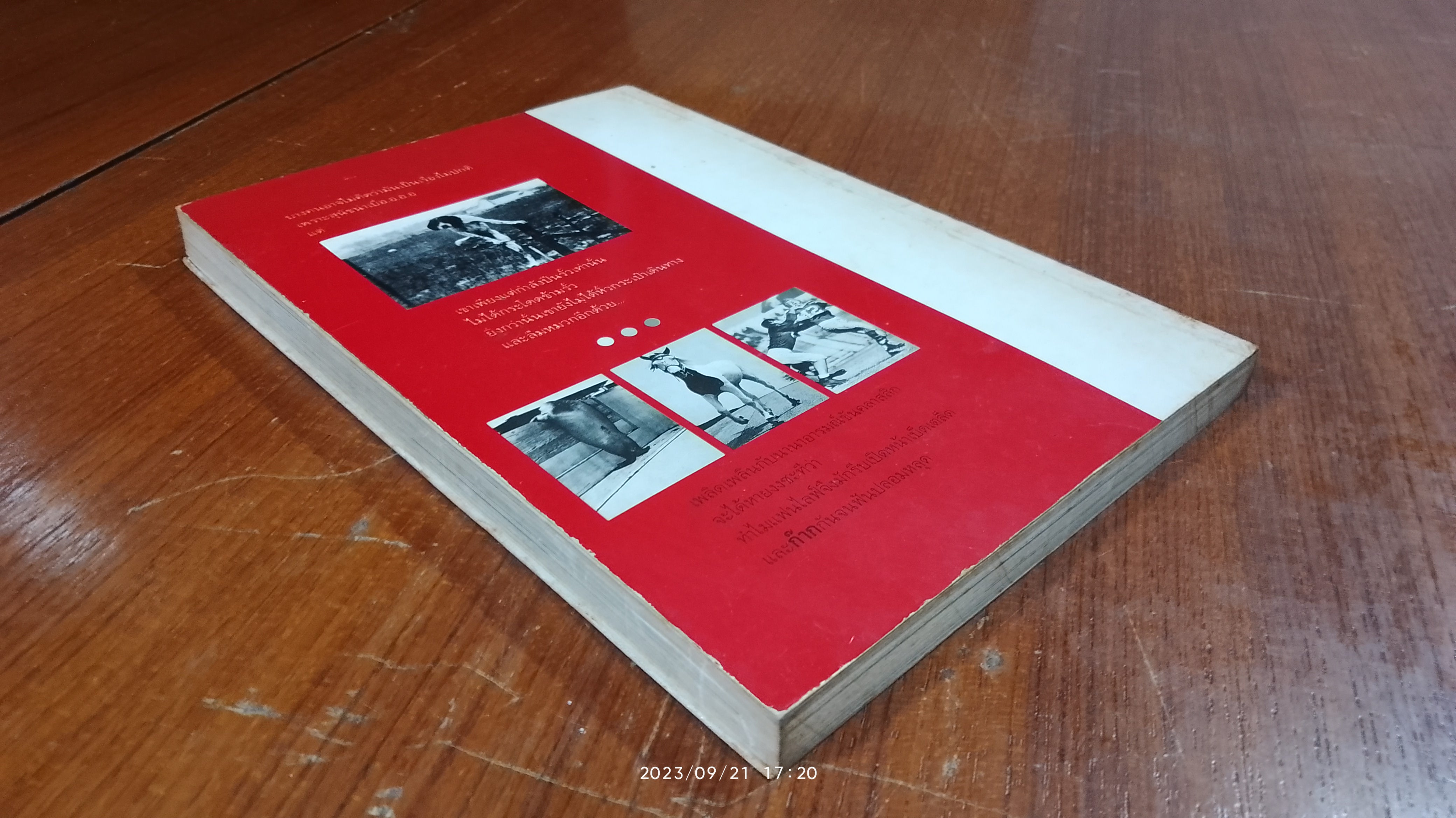 ก๊าก จนฟันปลอมหลุด / ฟิลิป บี คุนฮาดต์, จูเนียร์