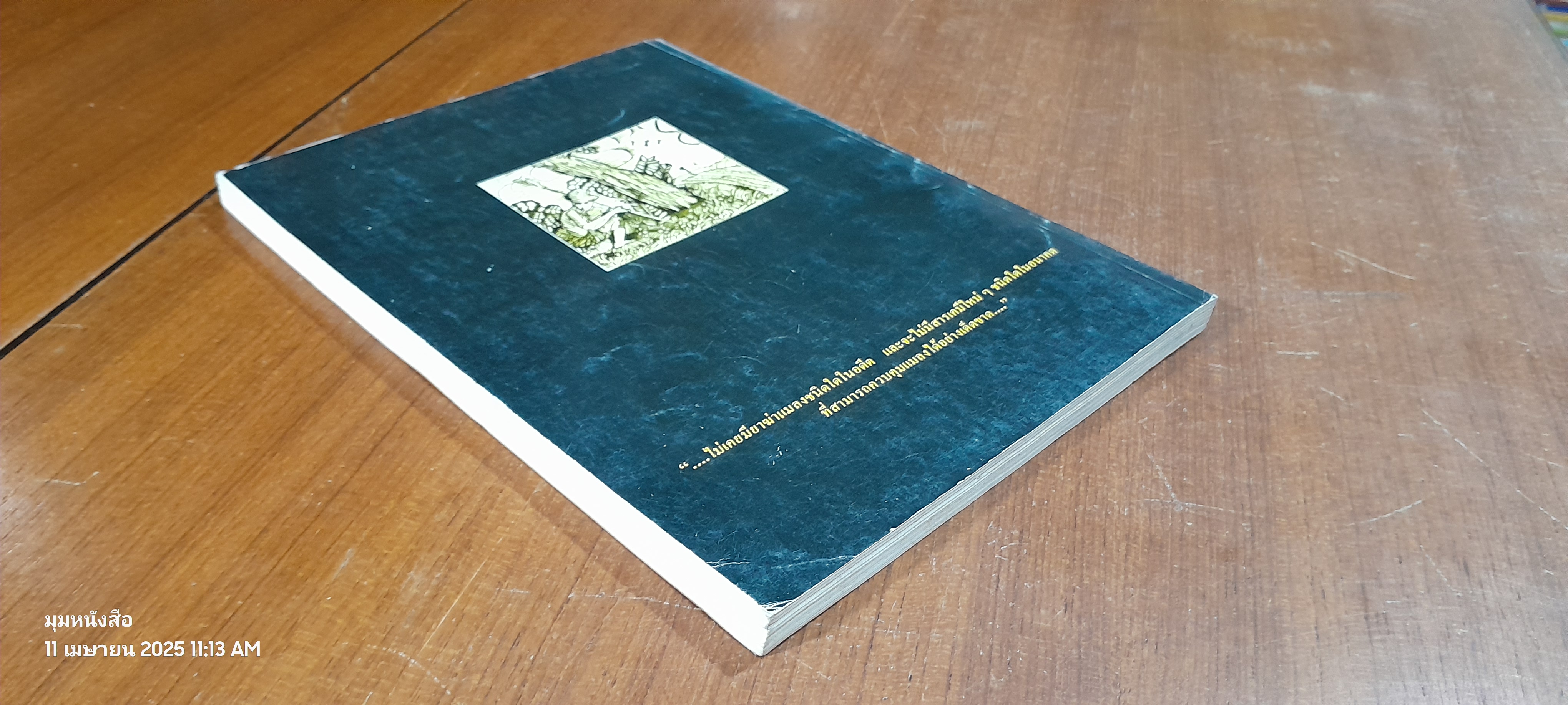 วิทยาการทดแทนสารเคมี : การรวบรวมข้อมูลเบื้องต้นสำหรับทดลองใช้ในพื้นที่ / สมาคมเทคโนโลยีที่เหมาะสม