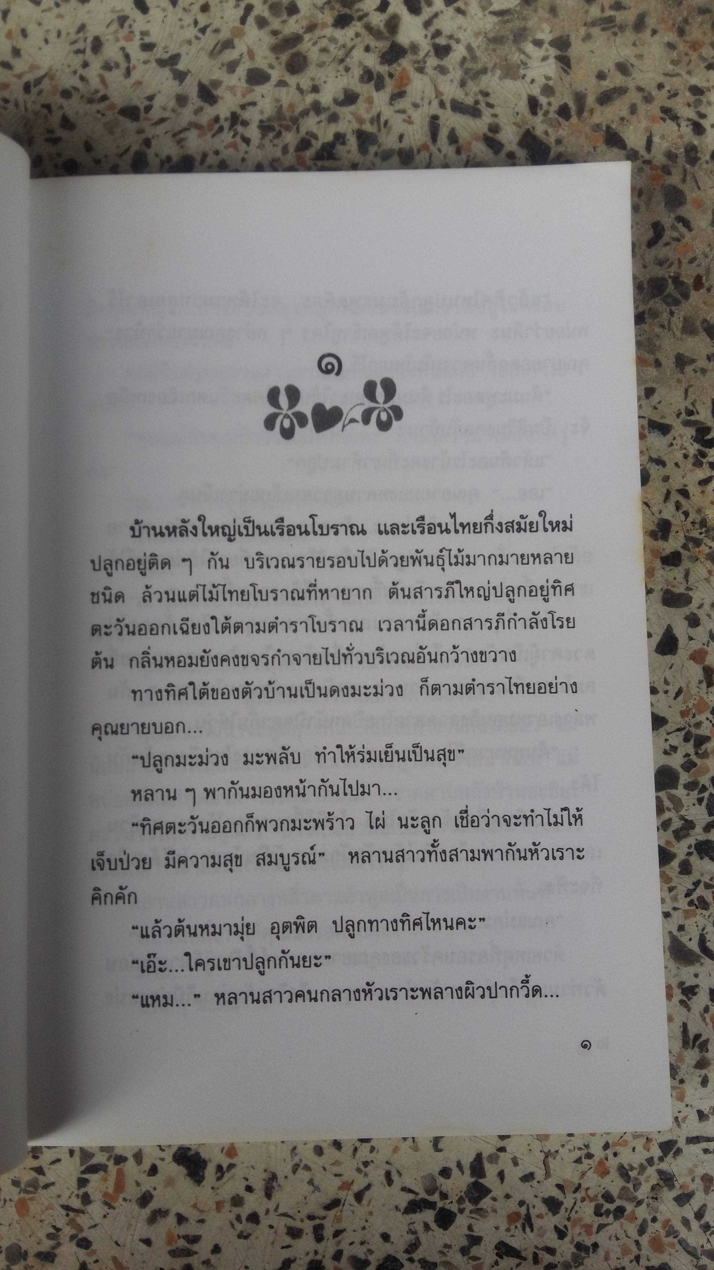 หลานสาวคุณยายหลานชายคุณย่า / สีสวลี