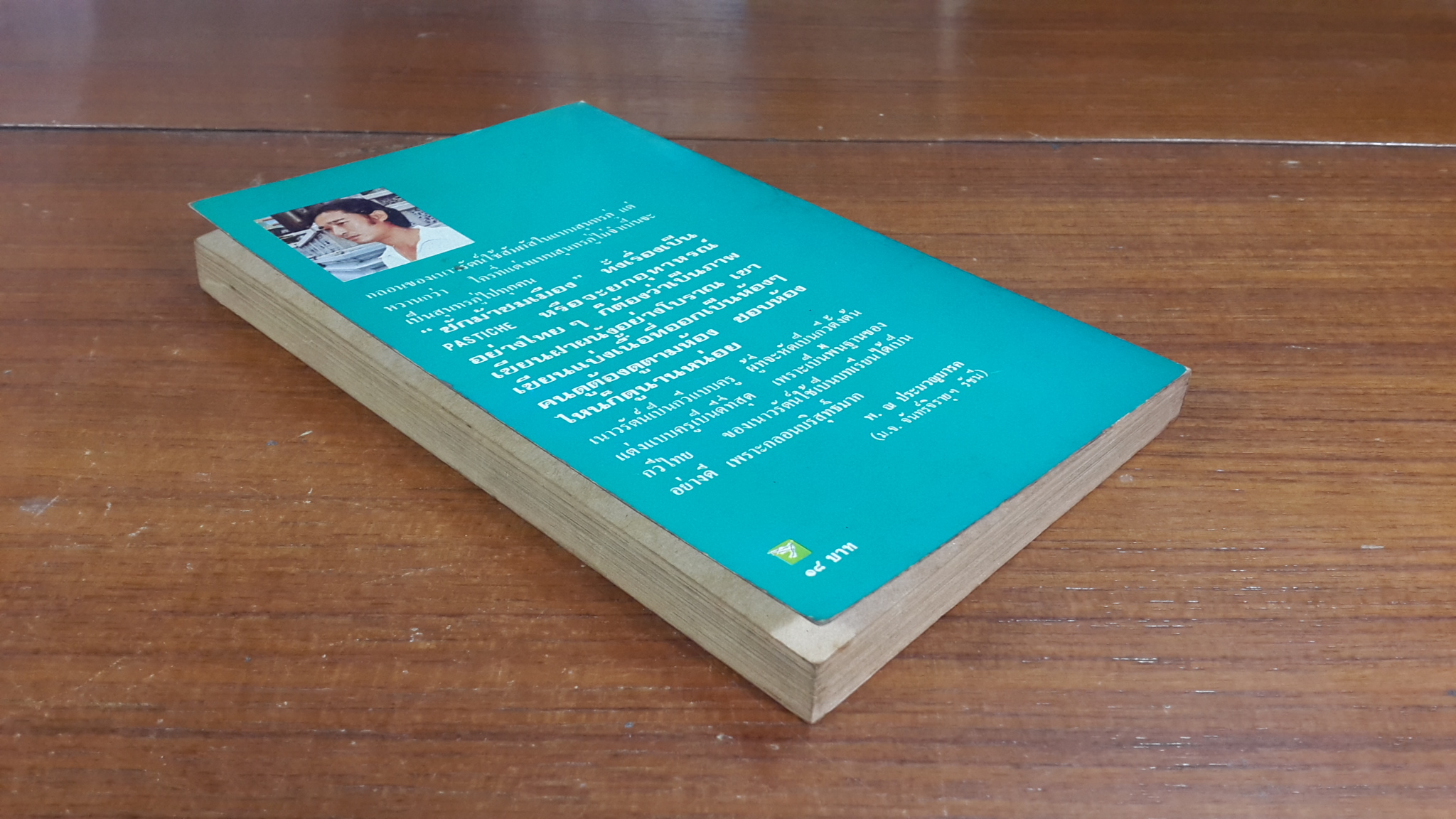 ชักม้าชมเมือง / เนาวรัตน์ พงษ์ไพบูลย์