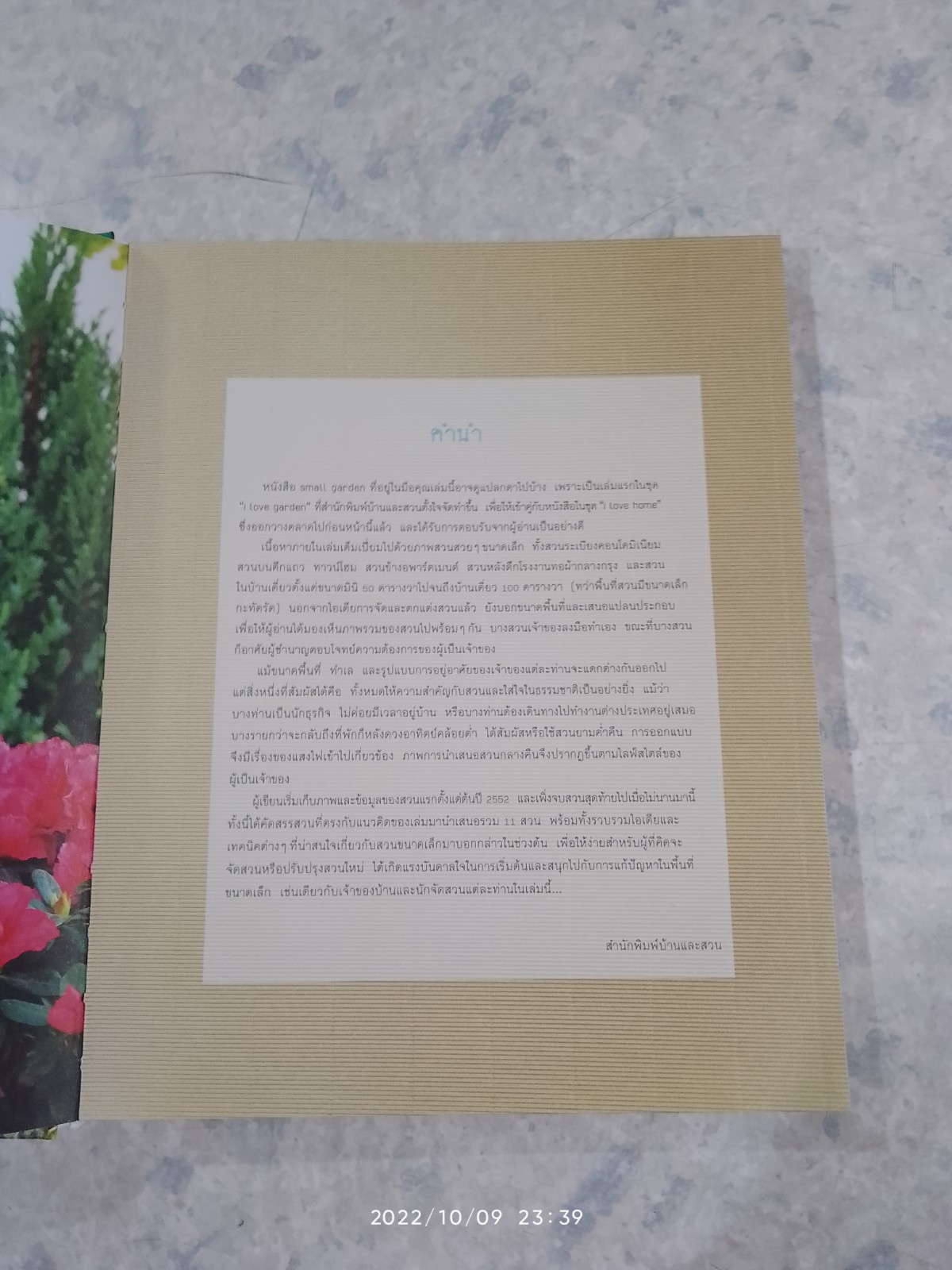 พื้นที่เล็กของคนรักสวน / ทิพาพรรณ ศิริเวชฏารักษ์