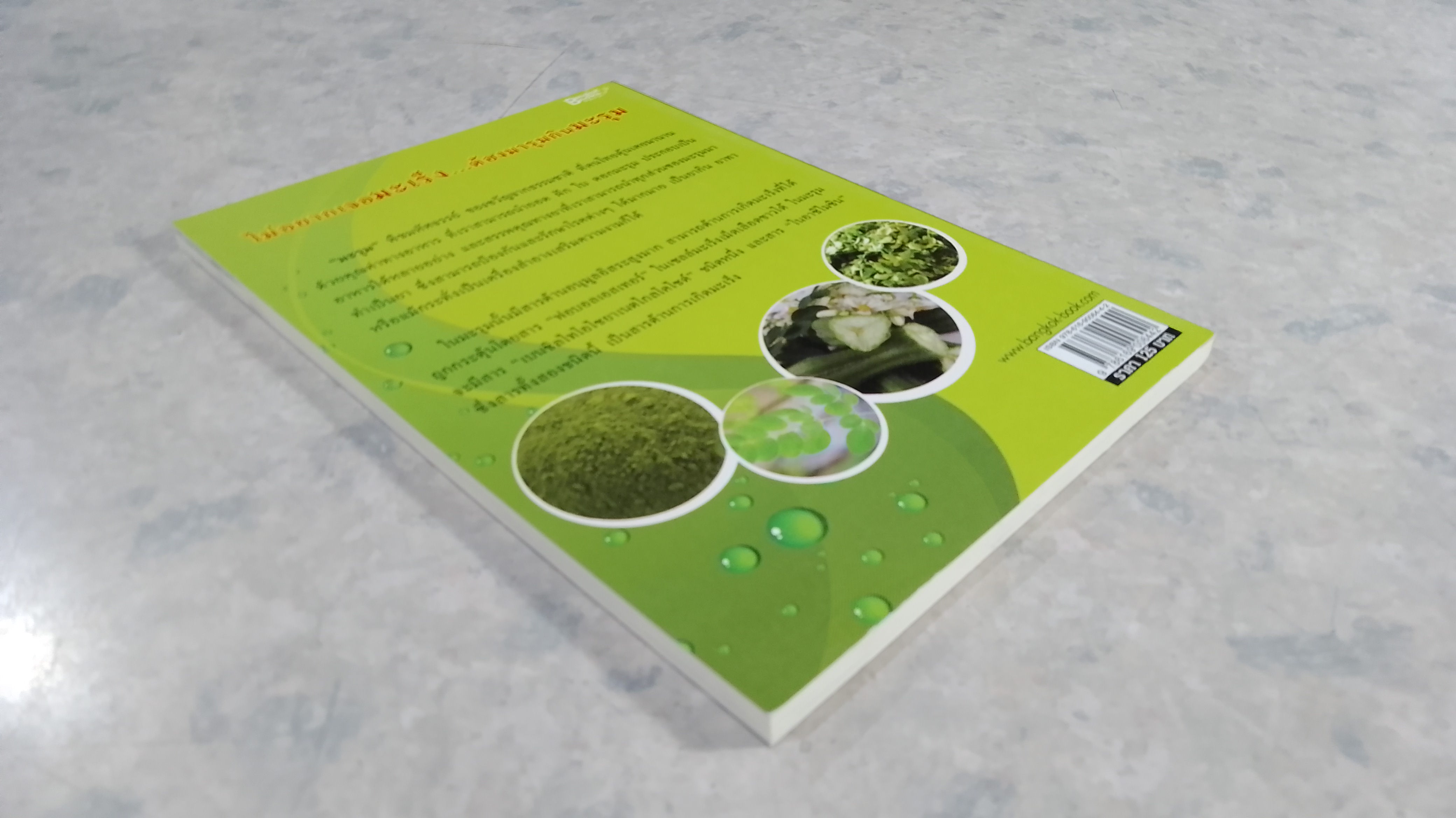 มะรุม พืชมหัศจรรย์ขจัดมะเร็ง ฉบับ มารุมกินมะรุม