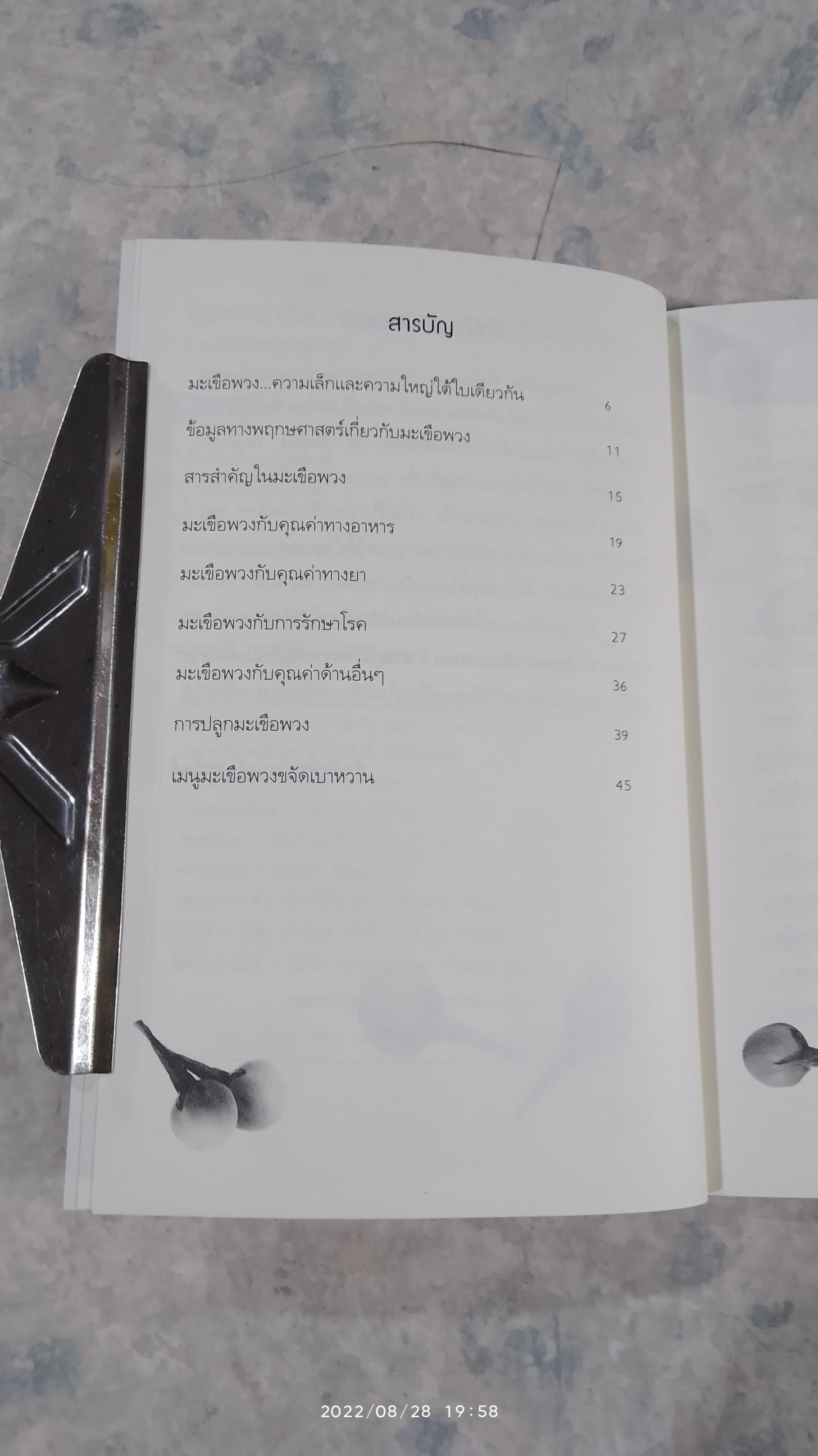 มะเขือพวง ขจัดเบาหวาน ราชาสมุนไพร จากพื้นบ้านแห่งสยาม