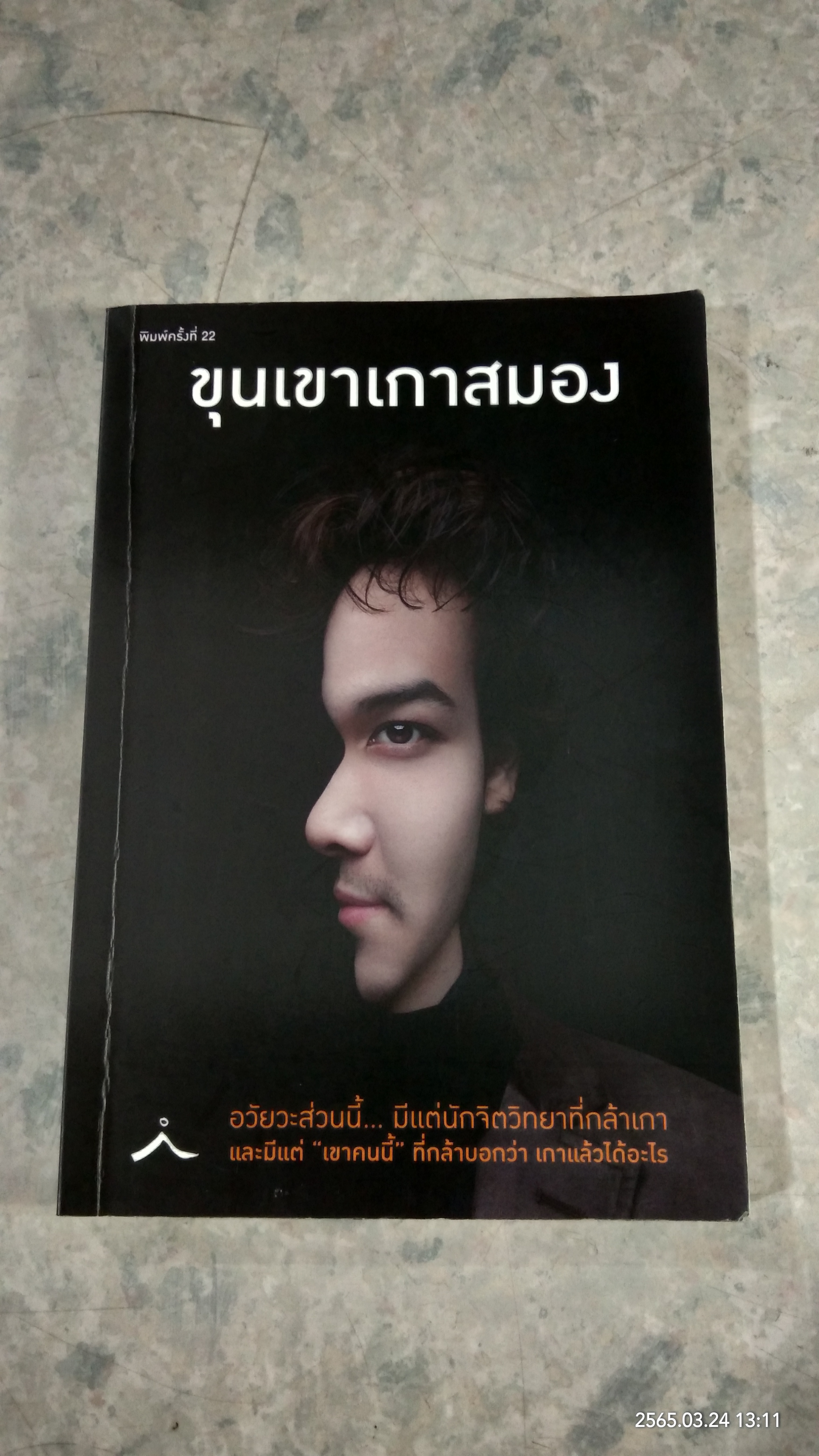 ขุนเขาเกาสมอง / สินธุเสน เขจรบุตร