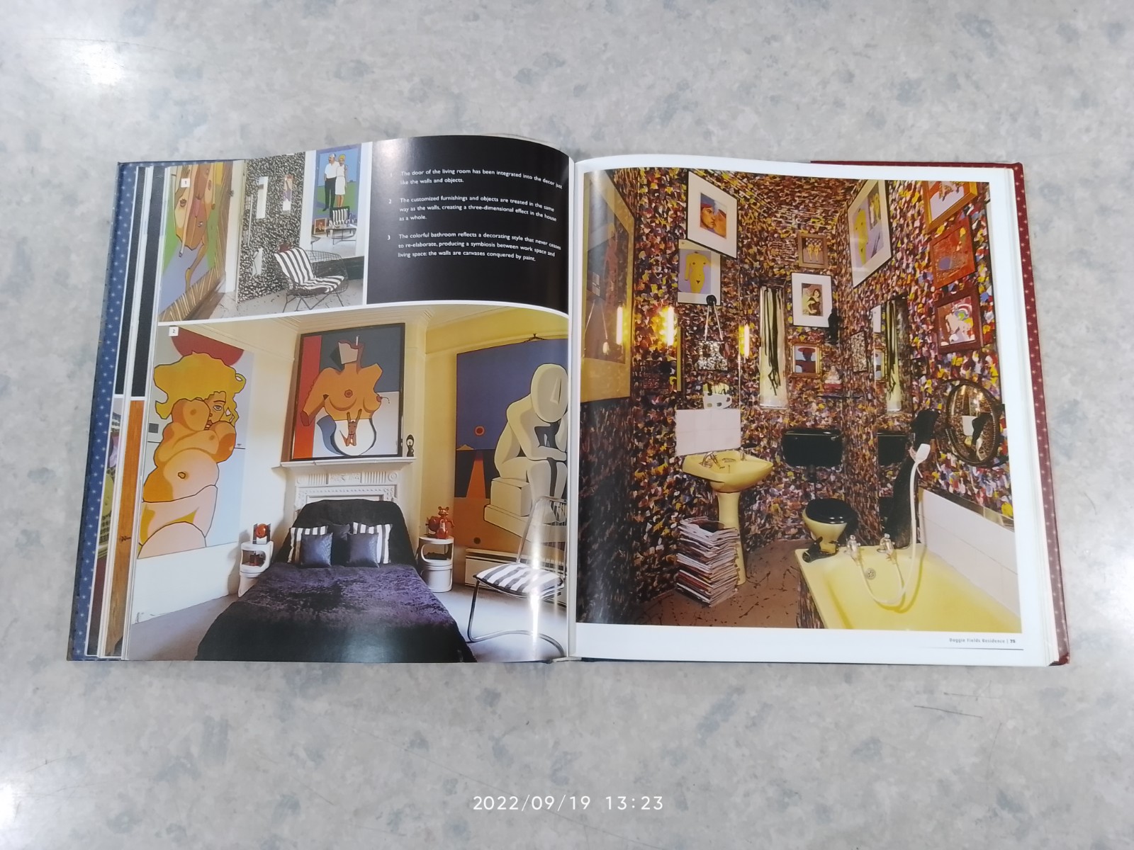 mxm : maximalist interiors / Encarna Castillo