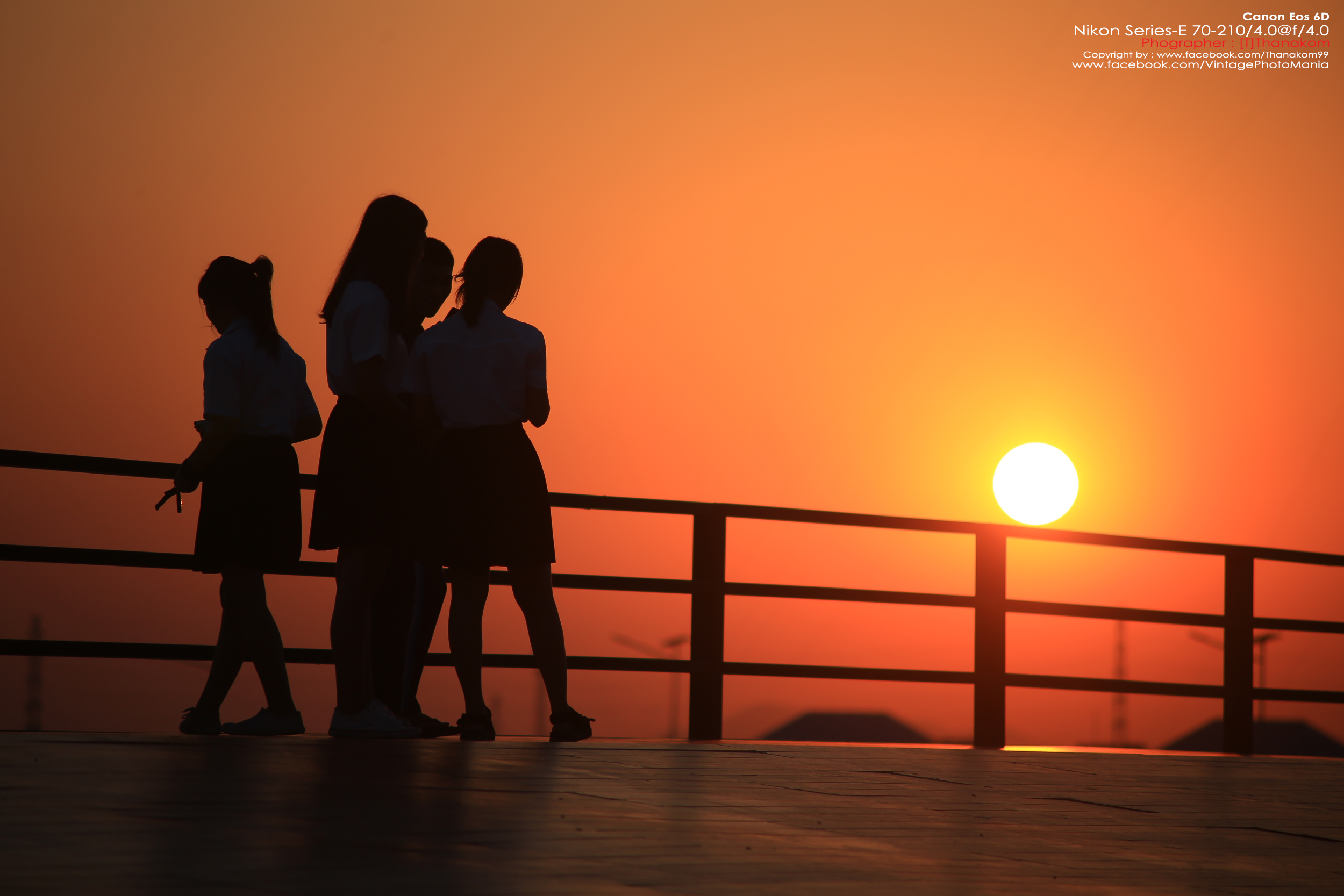 Nikon Series-E 70-210/4.0 *Nikon Ai-S Mount เลนส์มือหมุนคมๆละลายฉากหลังสวย