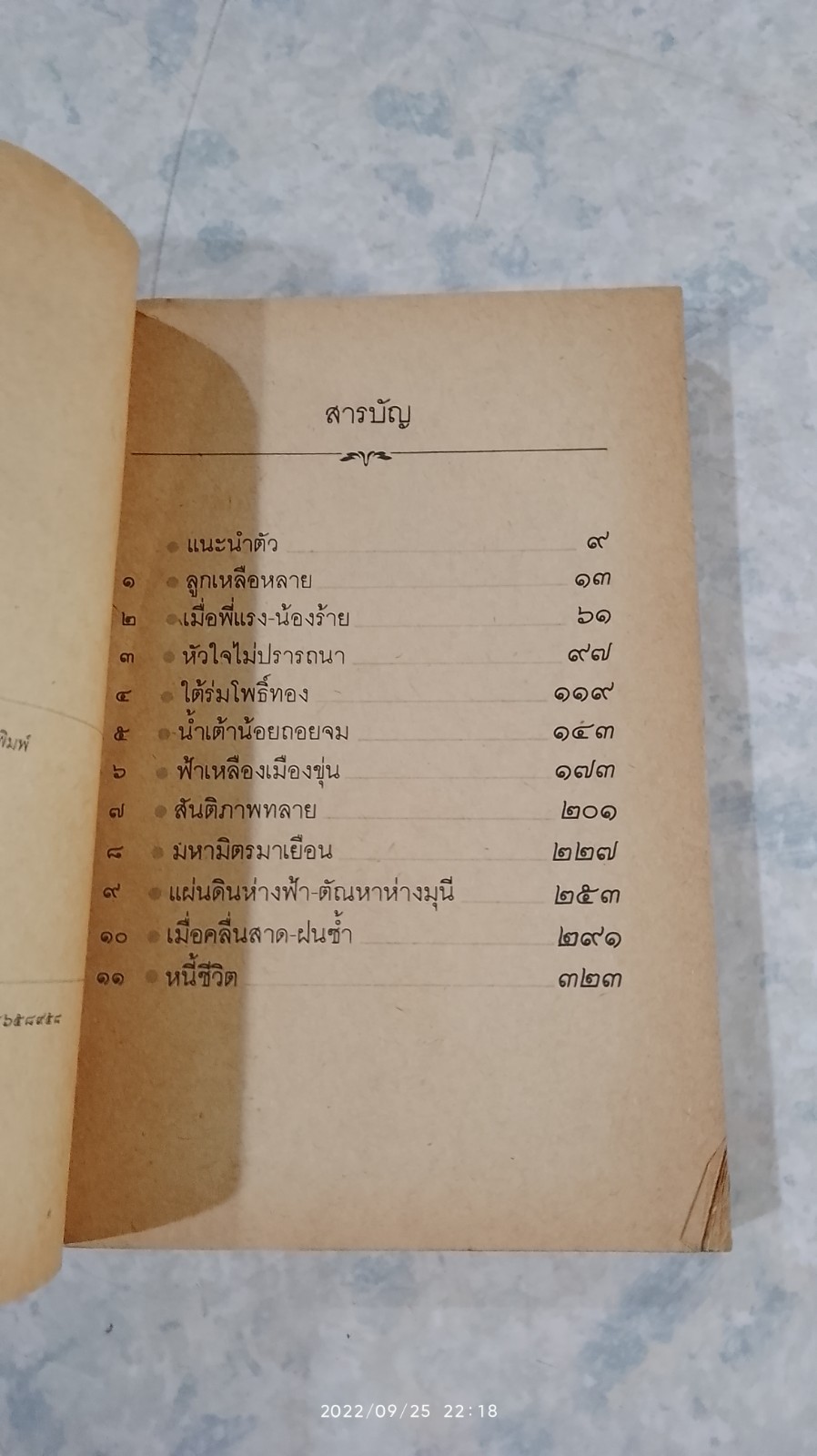 เหรียญทองแดง (สภาพไม่สมบูรณ์) / มุนิกุญชรา