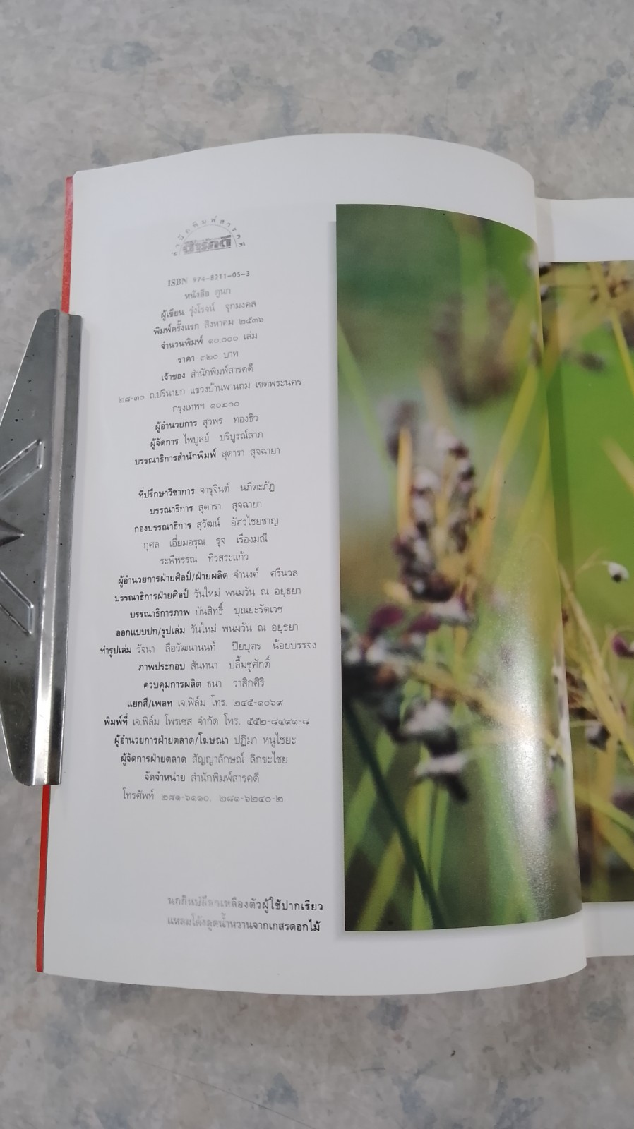 ดูนก / รุ่งโรจน์ จุกมงคล