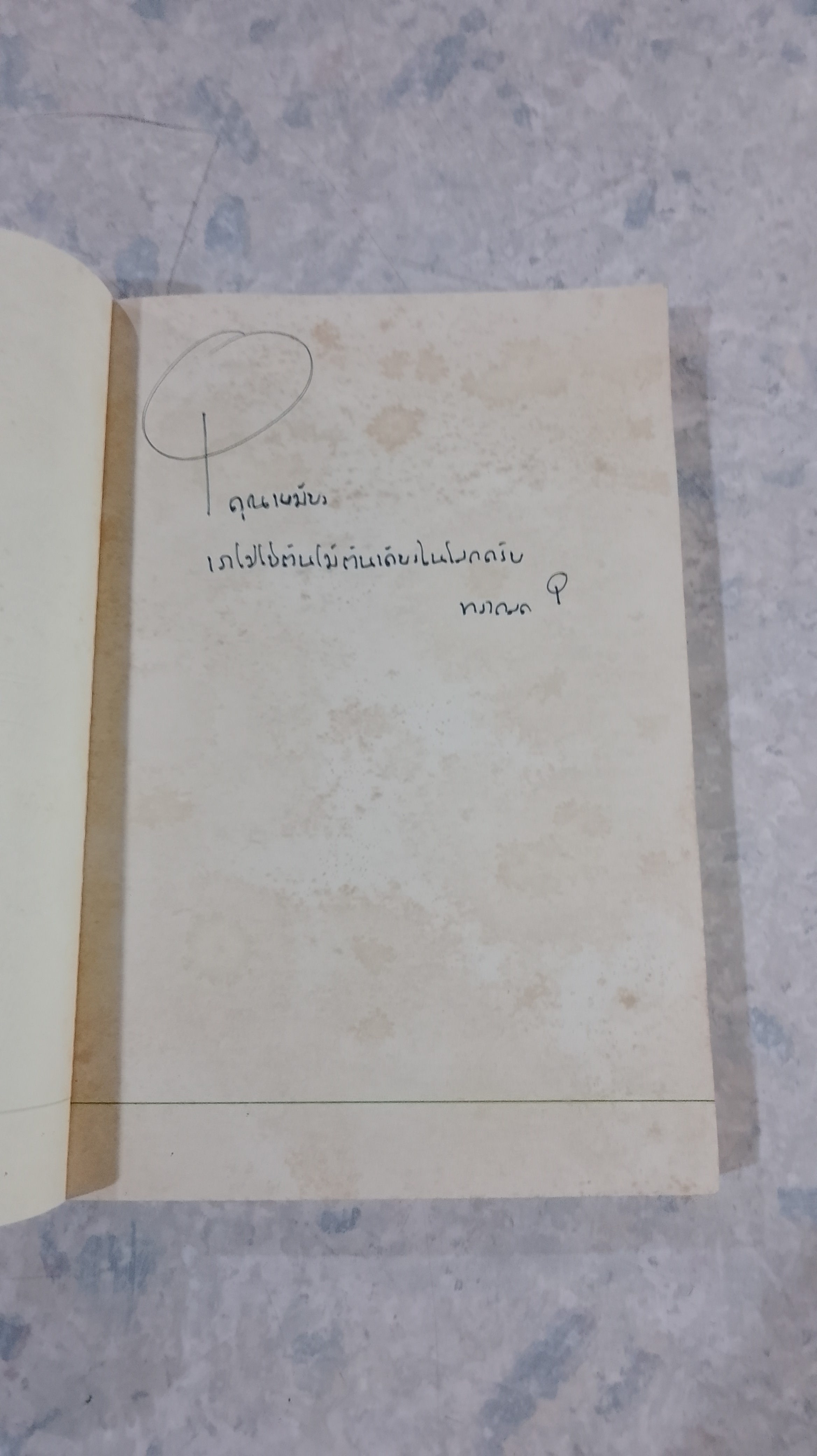 ต้นไม้ใต้โลก / ทรงกลด บางยี่ขัน