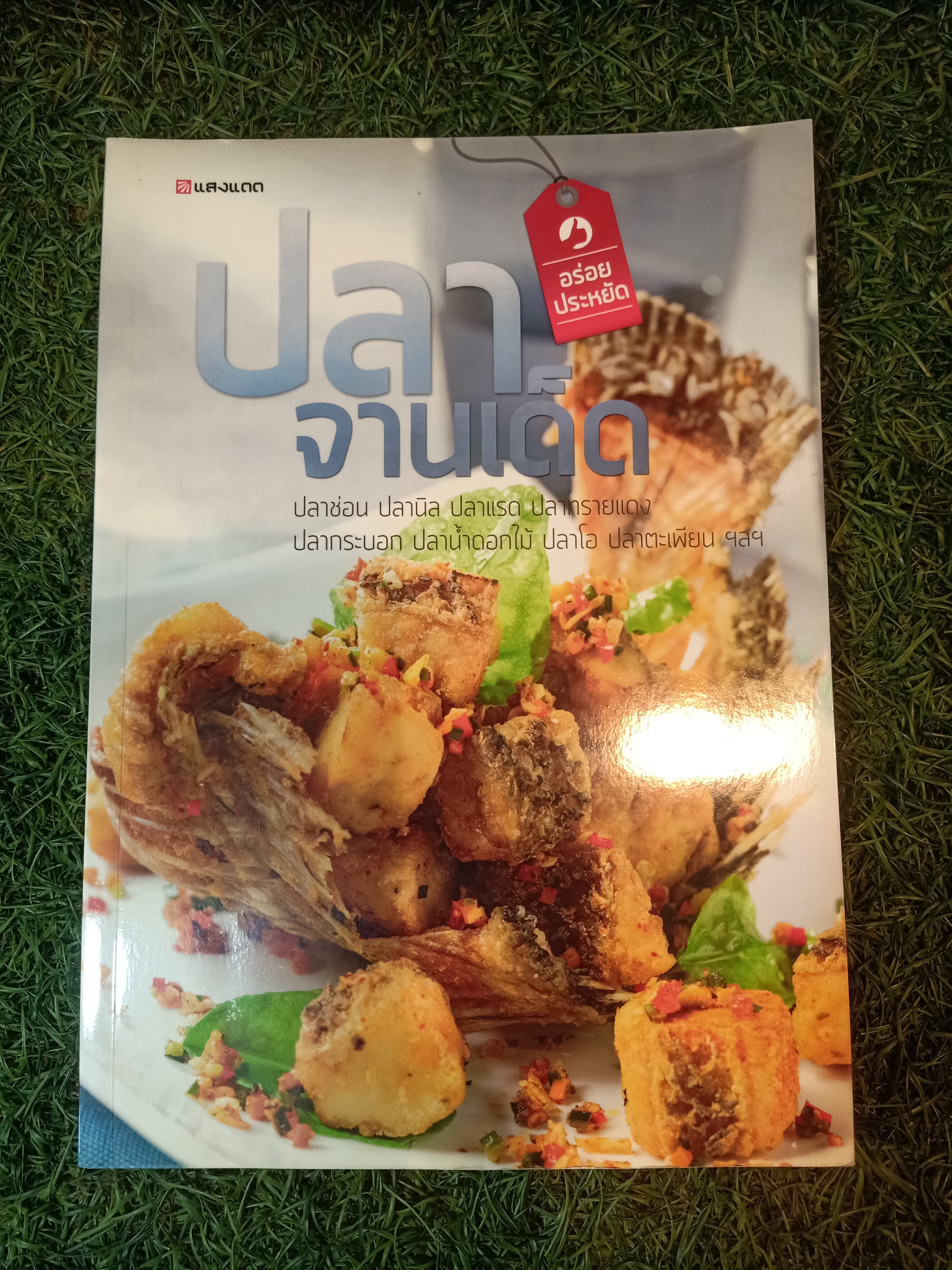 ปลาจานเด็ด / แสงแดด