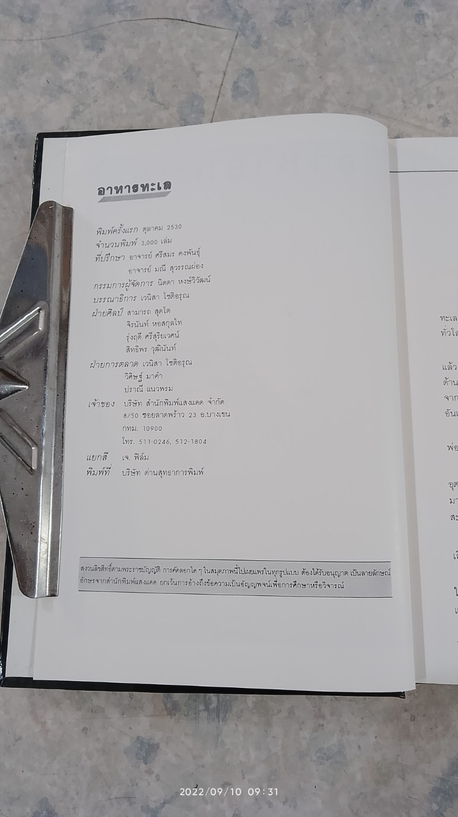 อาหารทะเล / แสงแดด