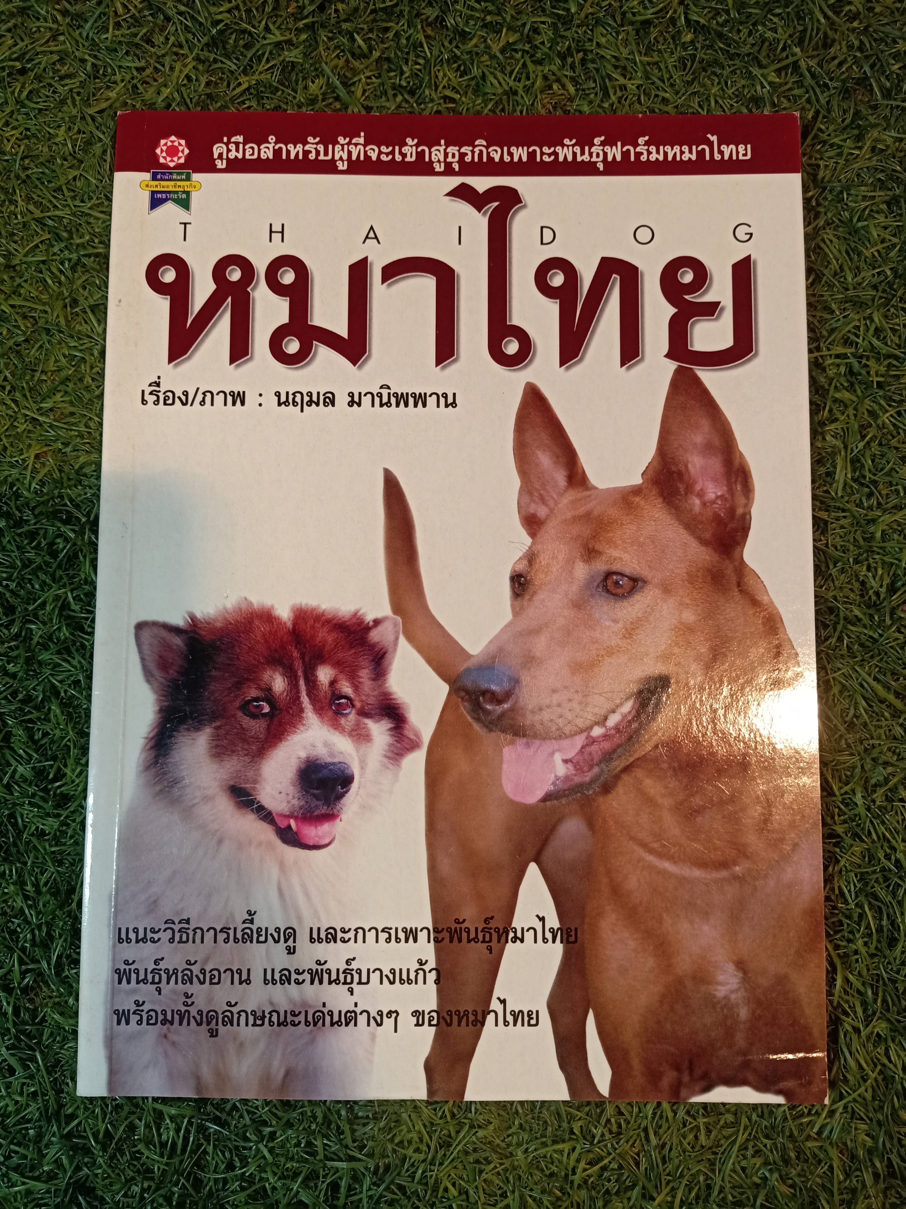 หมาไทย / นฤมล มานิพพาน