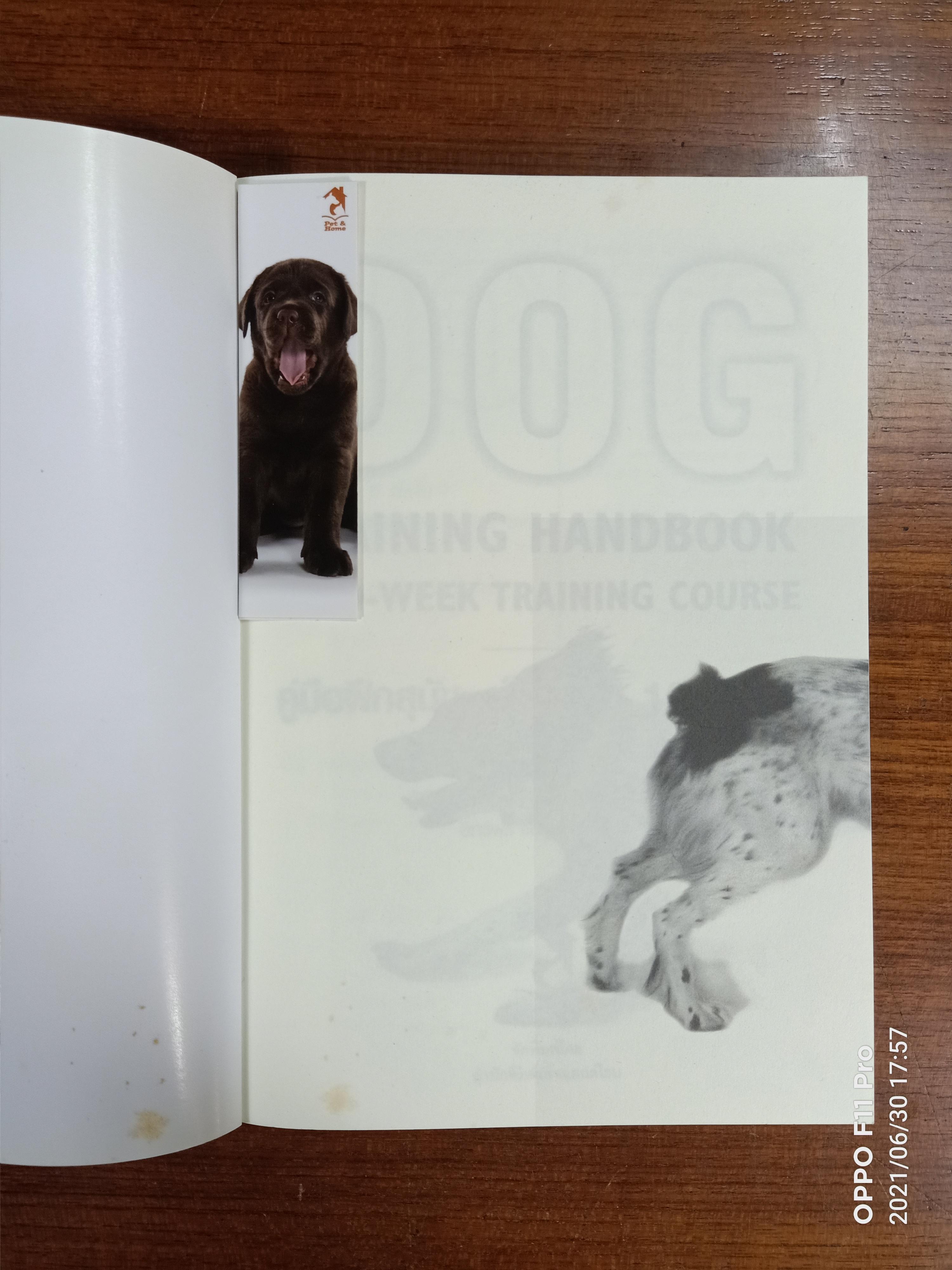 คู่มือฝึกสุนัข: เห็นผลใน 10 สัปดาห์ / สเตลลา สมิธ และแซลลี เบิร์ก-รูส เขียน สิทธิพร ชื่นชุ่มจิตร์ แปล