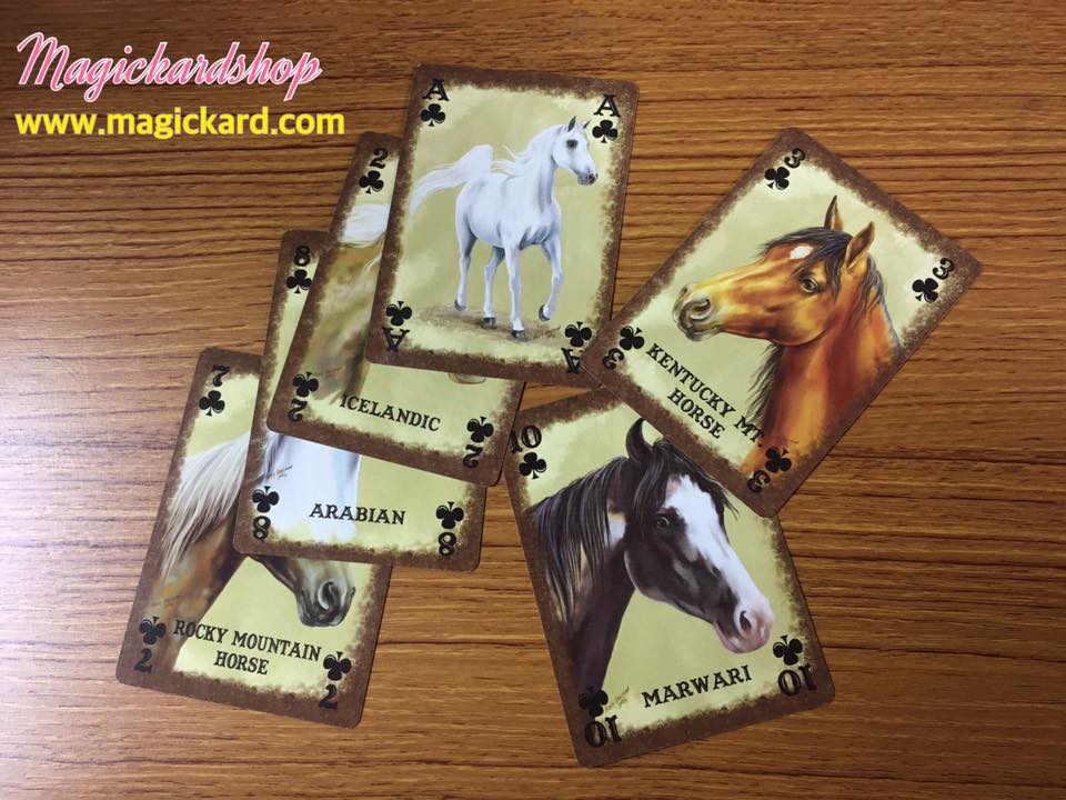 ไพ่ Horse Breed Playing Cards (ไพ่ลายม้า)