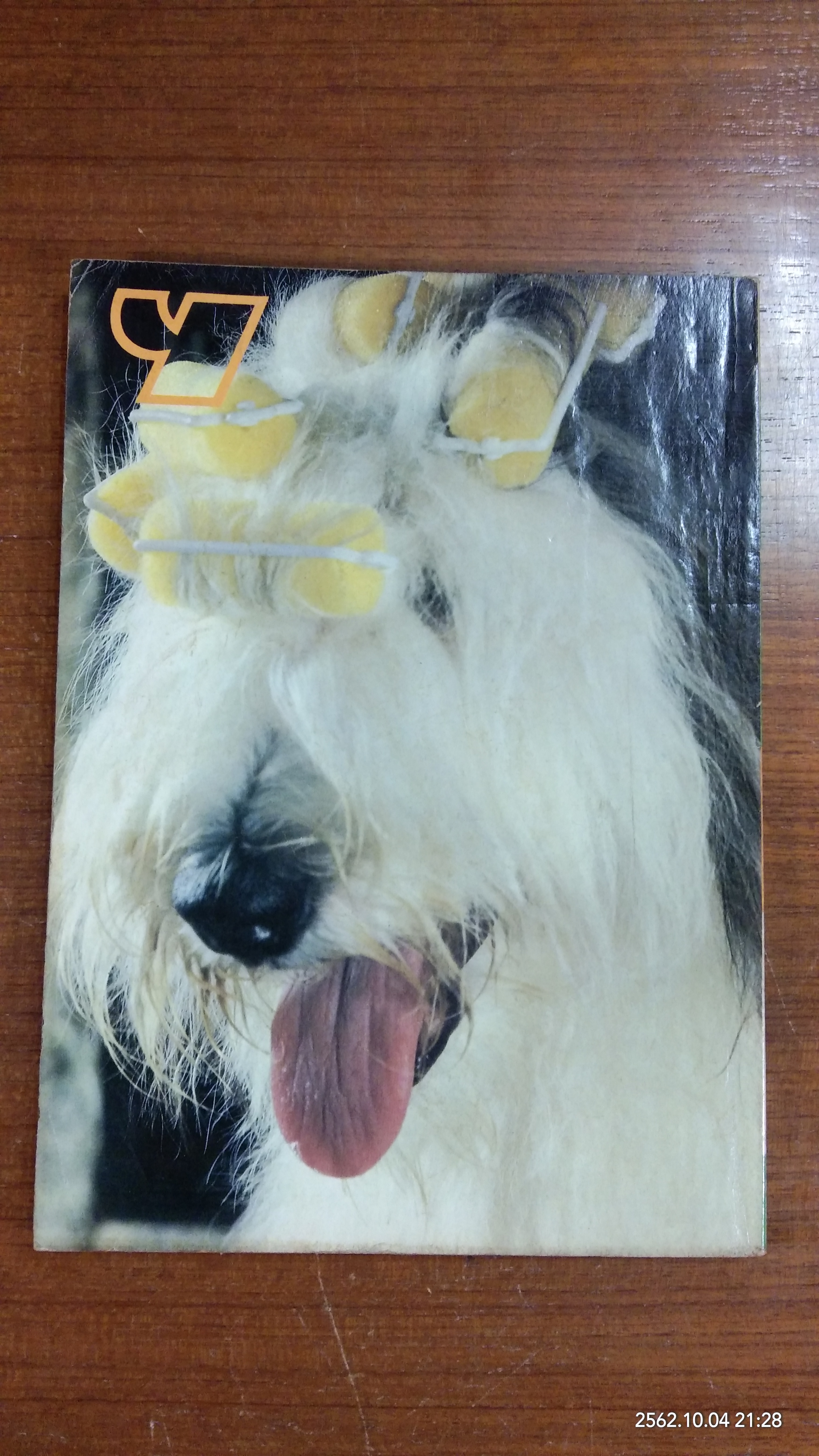 ไปยาลใหญ่ : ปีที่ 2 ฉบับที่ 13