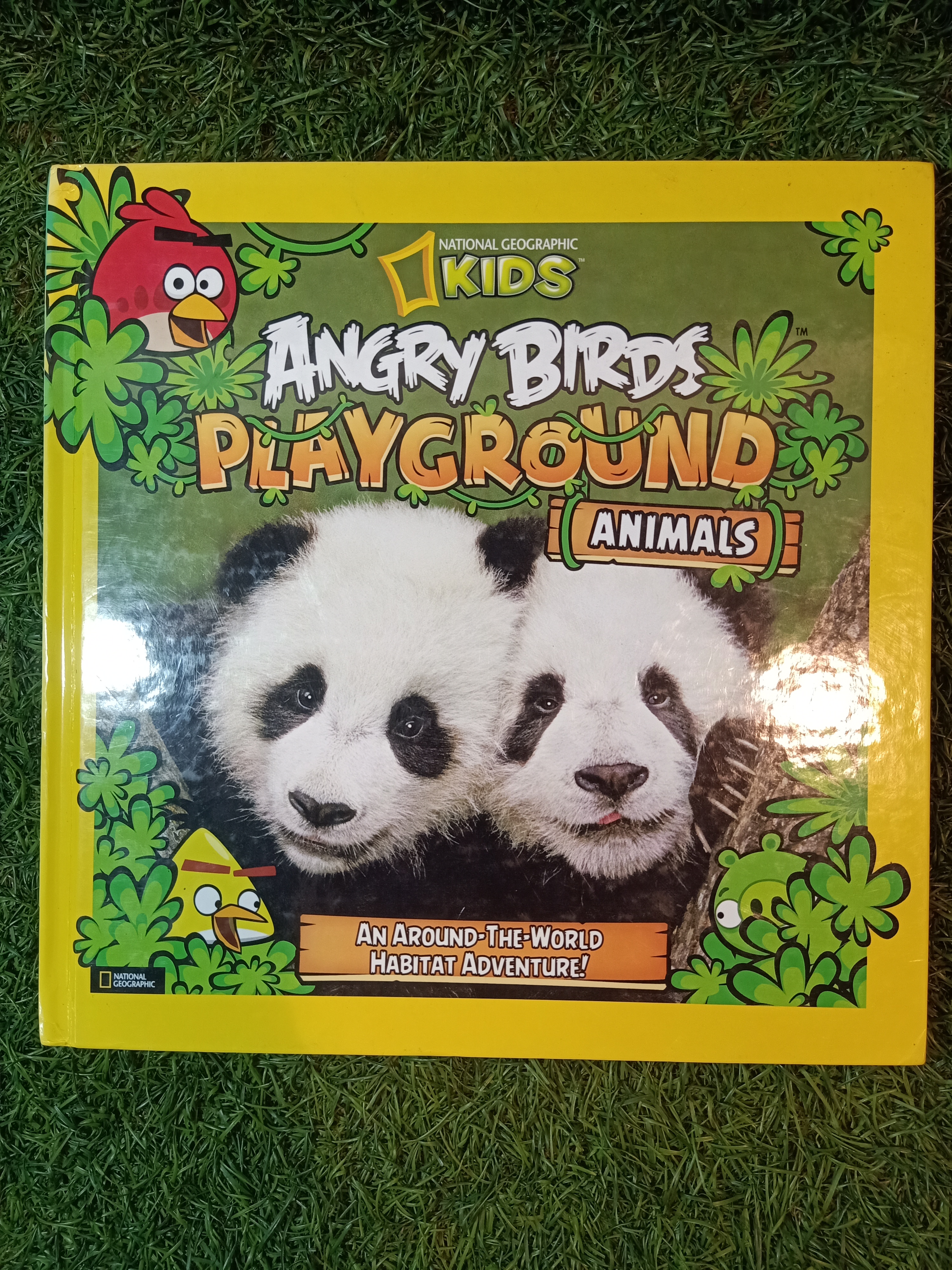 ANGRY BIRDS PLAYGROUND (ANIMALS) / NATIONAL GEOGRAPHIC