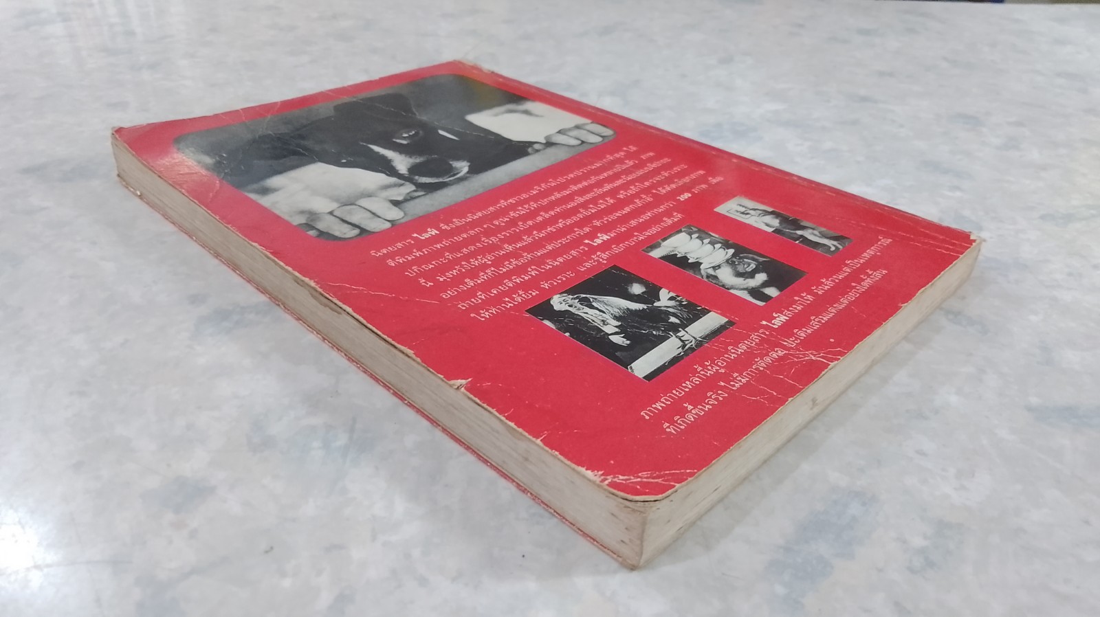 ห้วร่อจนตกเก้าอี้ / ฟิลิป บี คุนฮาดต์