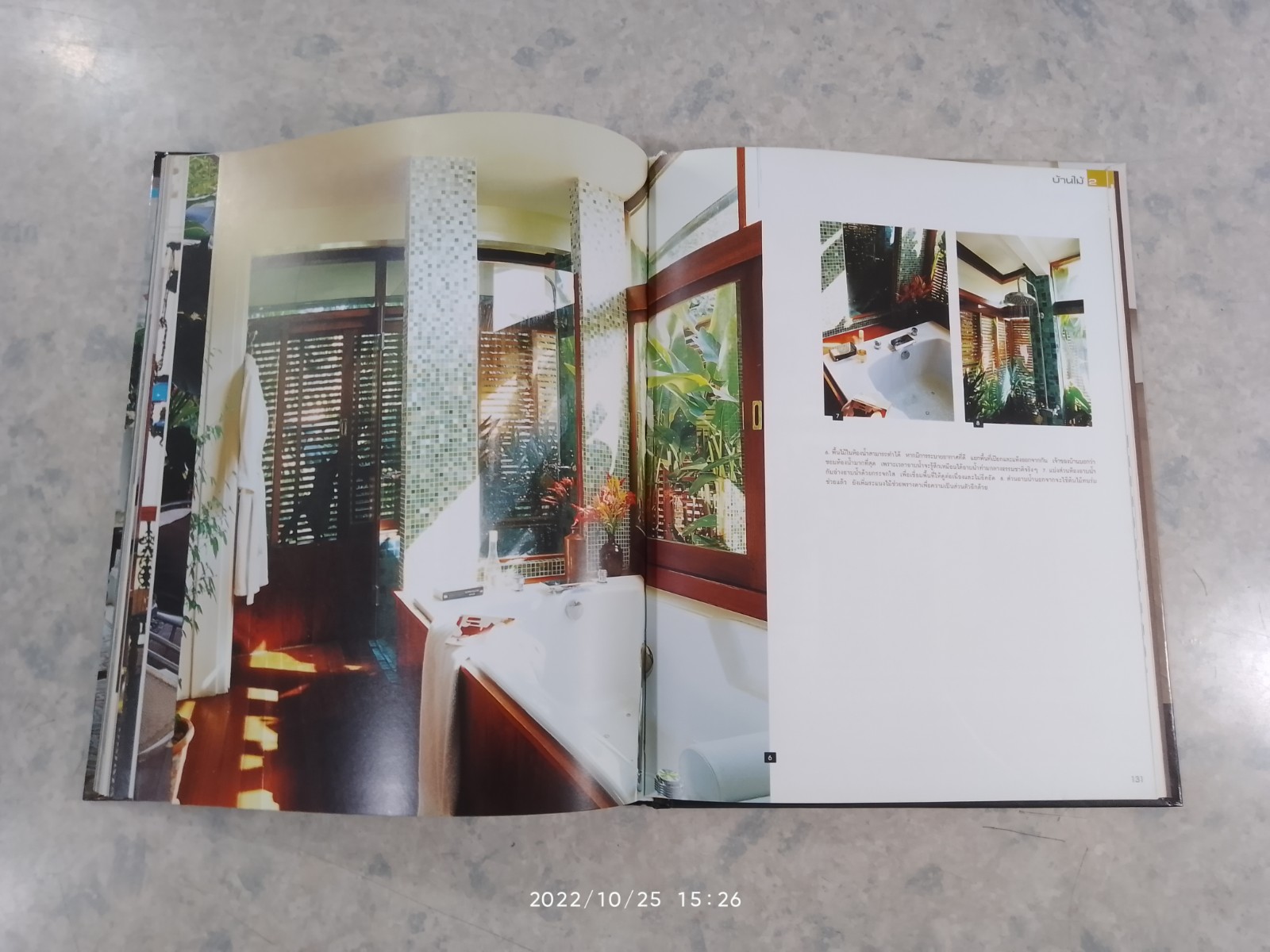 บ้านไม้ 2 : บ้านและสวน