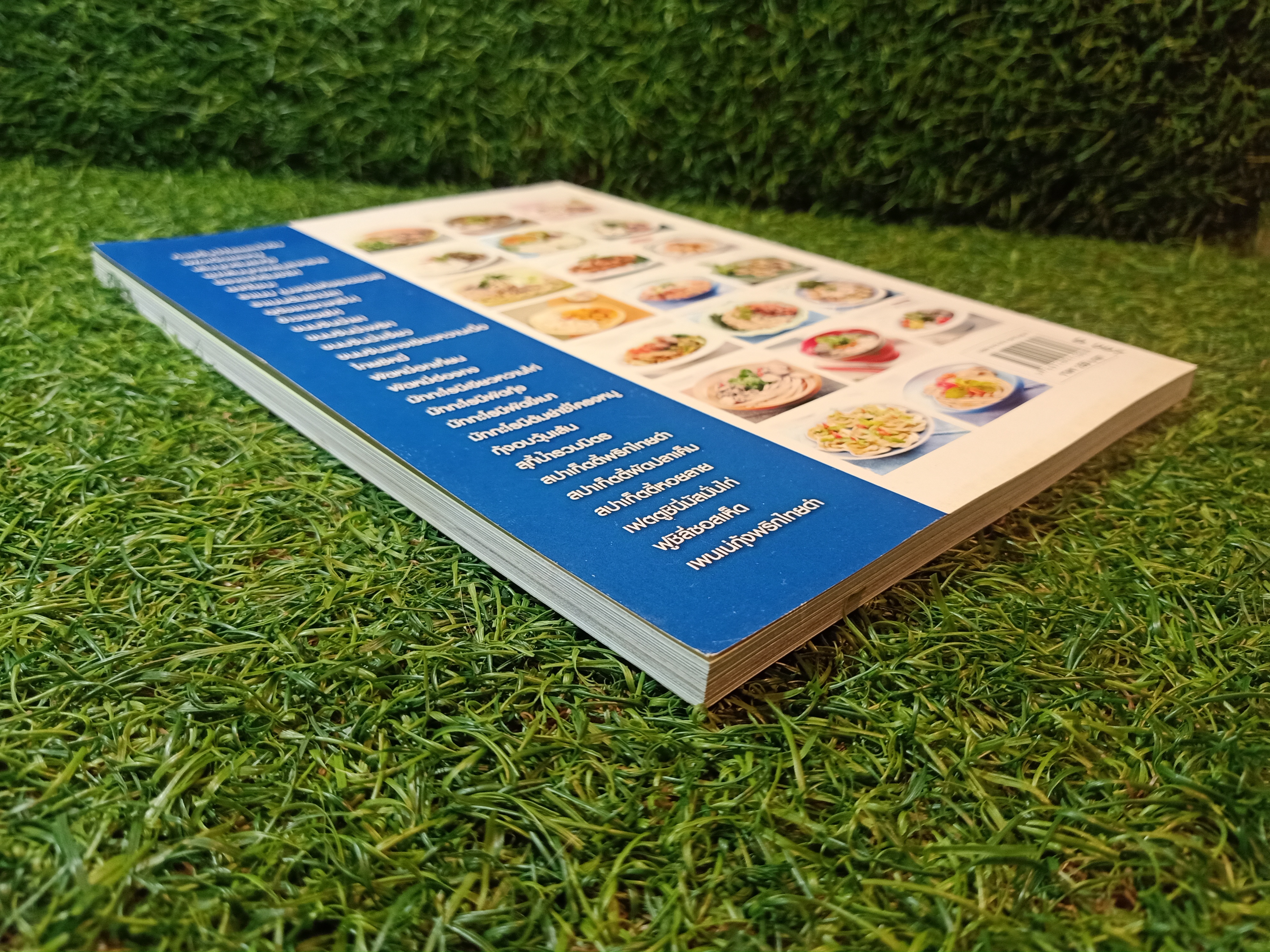 หลากหลายเมนุกับ อาหารเส้นนานาชาติ อร่อยทุกจาน ทานได้ทุกวัย ทำกินได้ ทำขายรวย / เสาวภรณ์ วังวรรธนะและคณะ