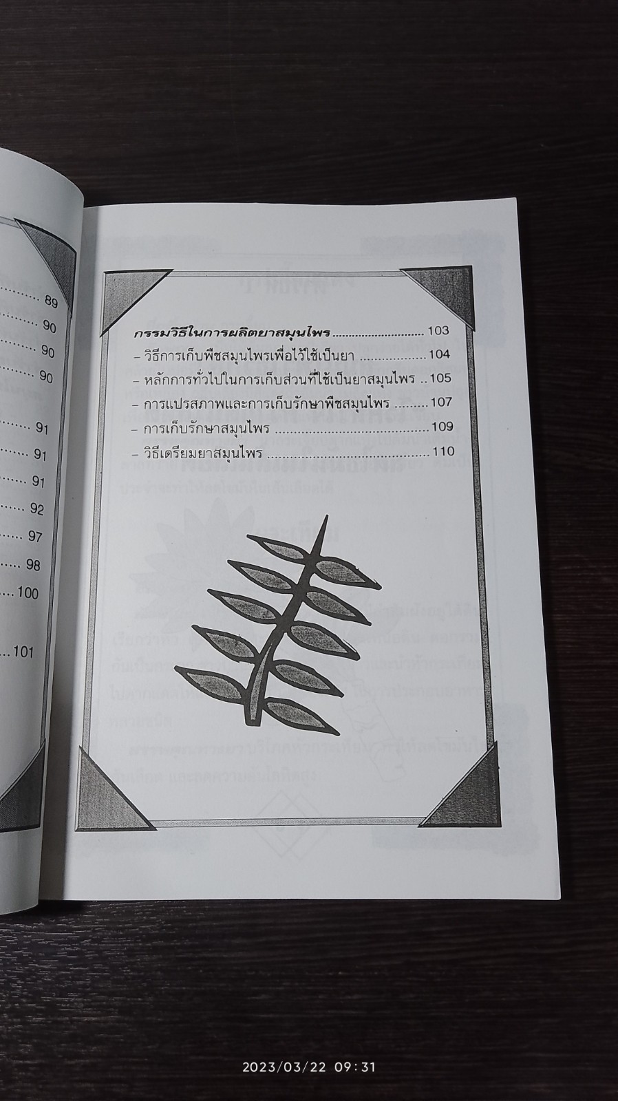 หายเจ็บไข้ด้วยยาสมุนไพร / นายเปรี้ยวหวาน