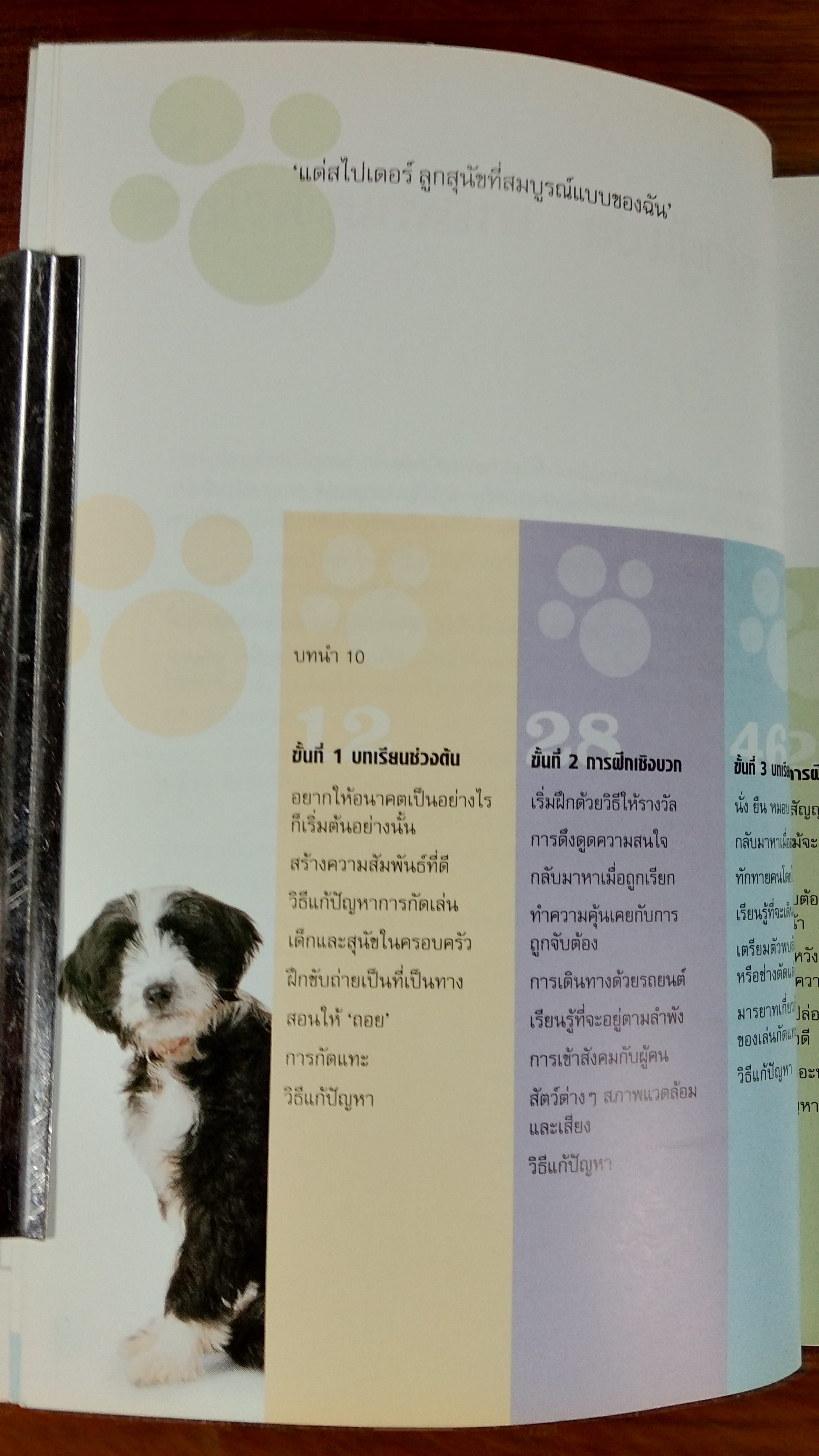 โรงเรียนลูกสุนัข / GWEN BAILEY