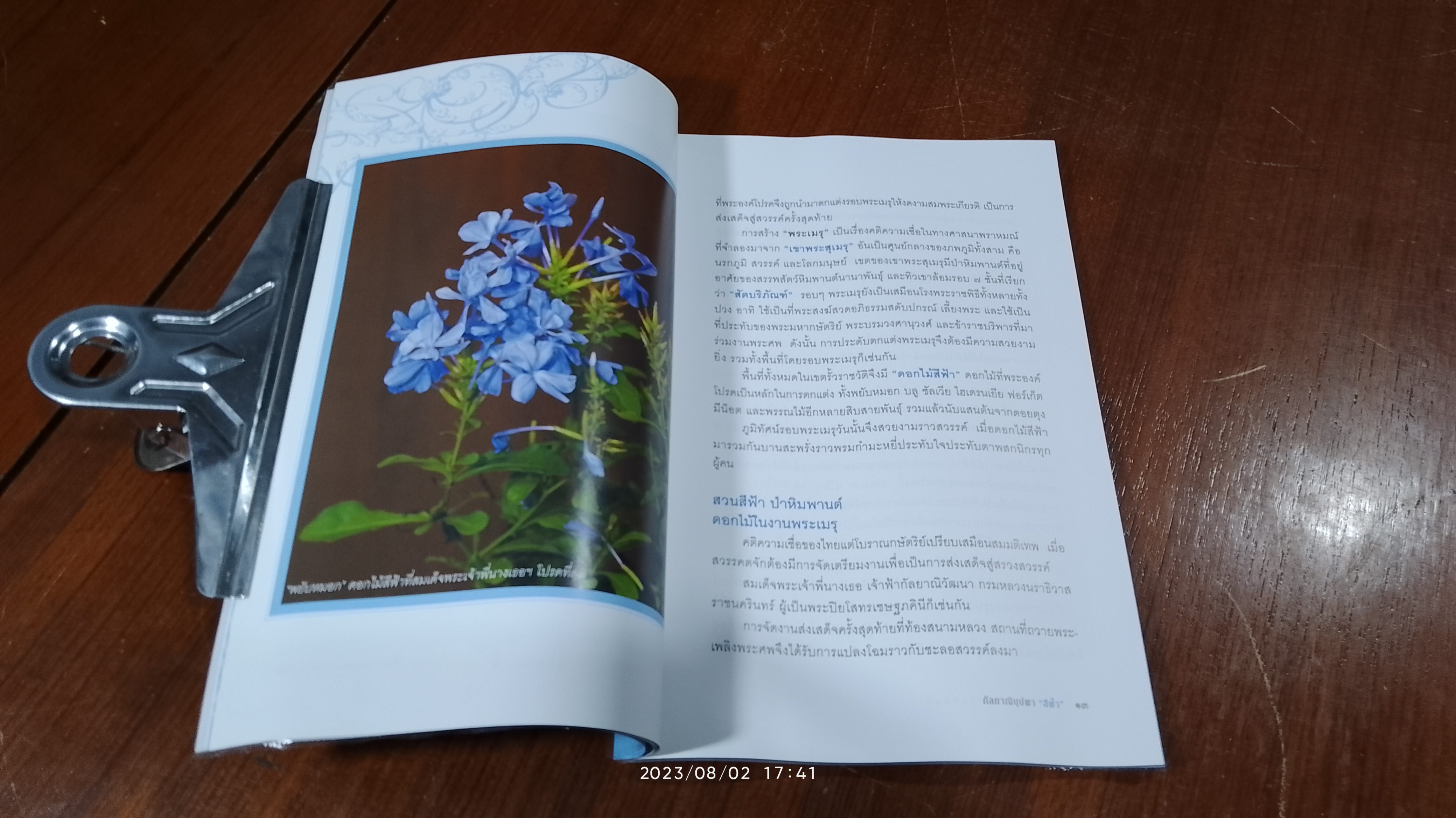 กัลยาณิบุปผา "สีฟ้า" / กองบรรณาธิการมติชน