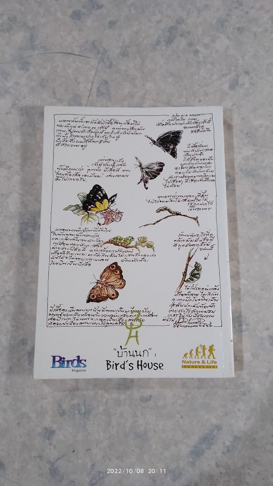 ผีเสื้อ คู่มือสำรวจและสื่อความหมายธรรมชาติ / สุรชัย ชลตำรงค์กุล