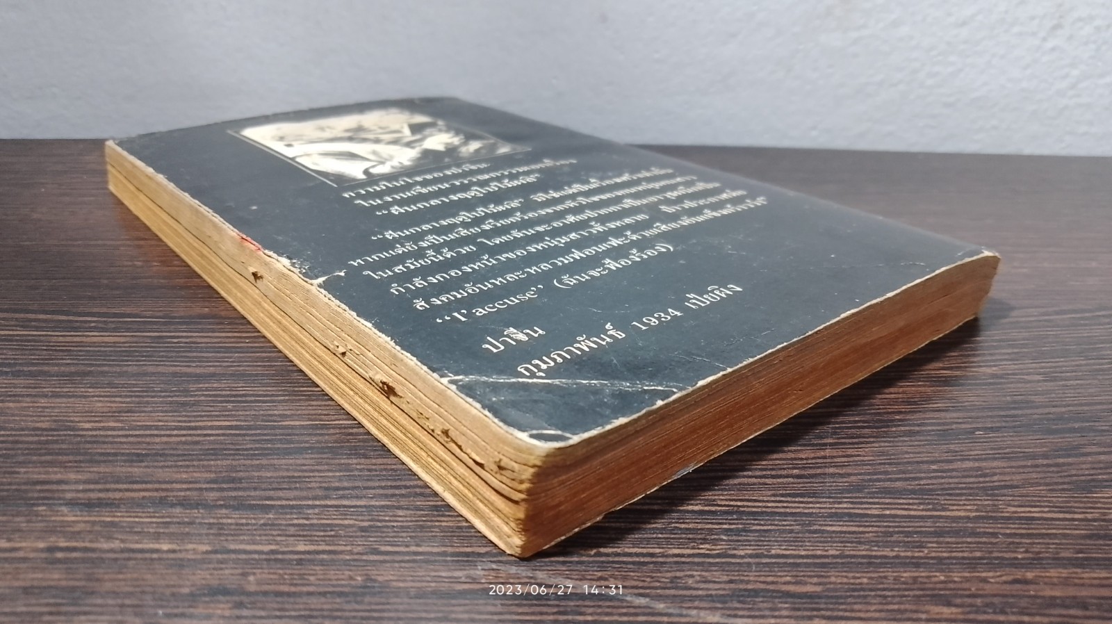 ฝันกลางฟดูใบไม้ผลิ / ปาจีน (สภาพไม่สมบูรณ์)