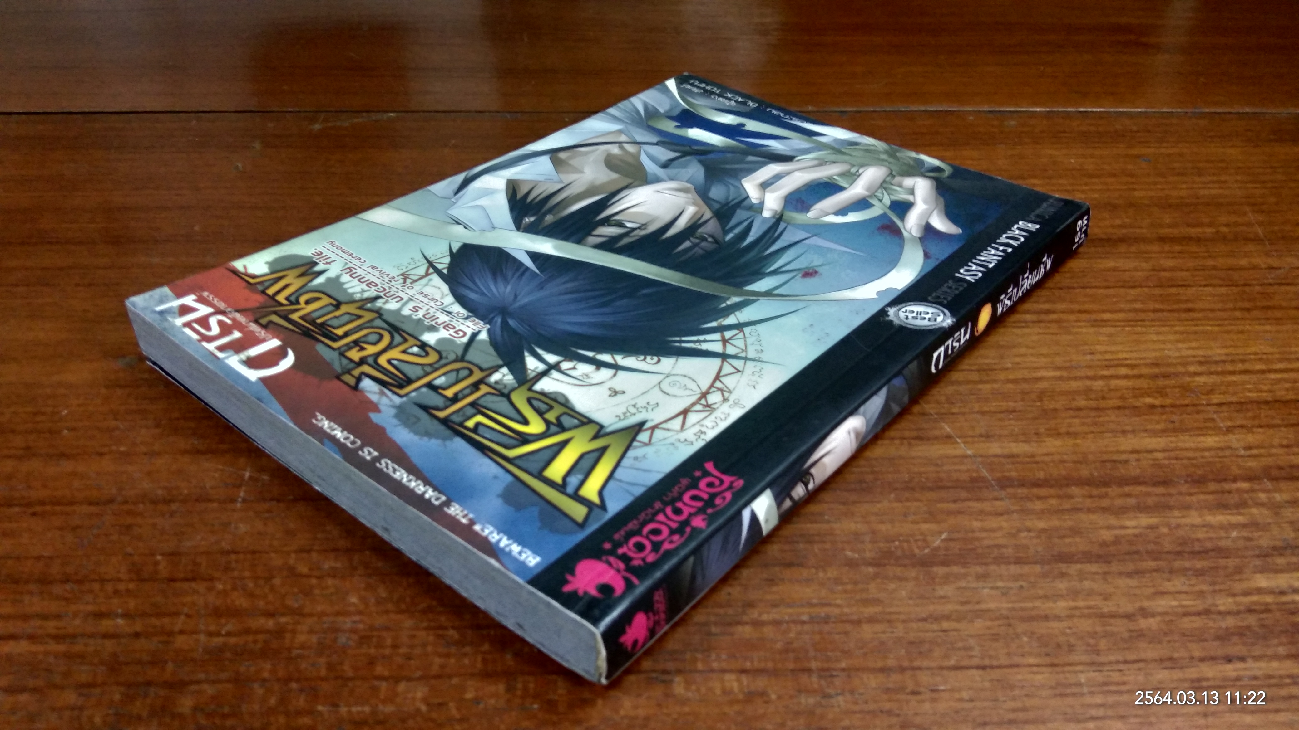 การิน ปริศนาคดีอาถรรพ์ ตอน พิธีเปลี่ยนชีพ / อัยย์