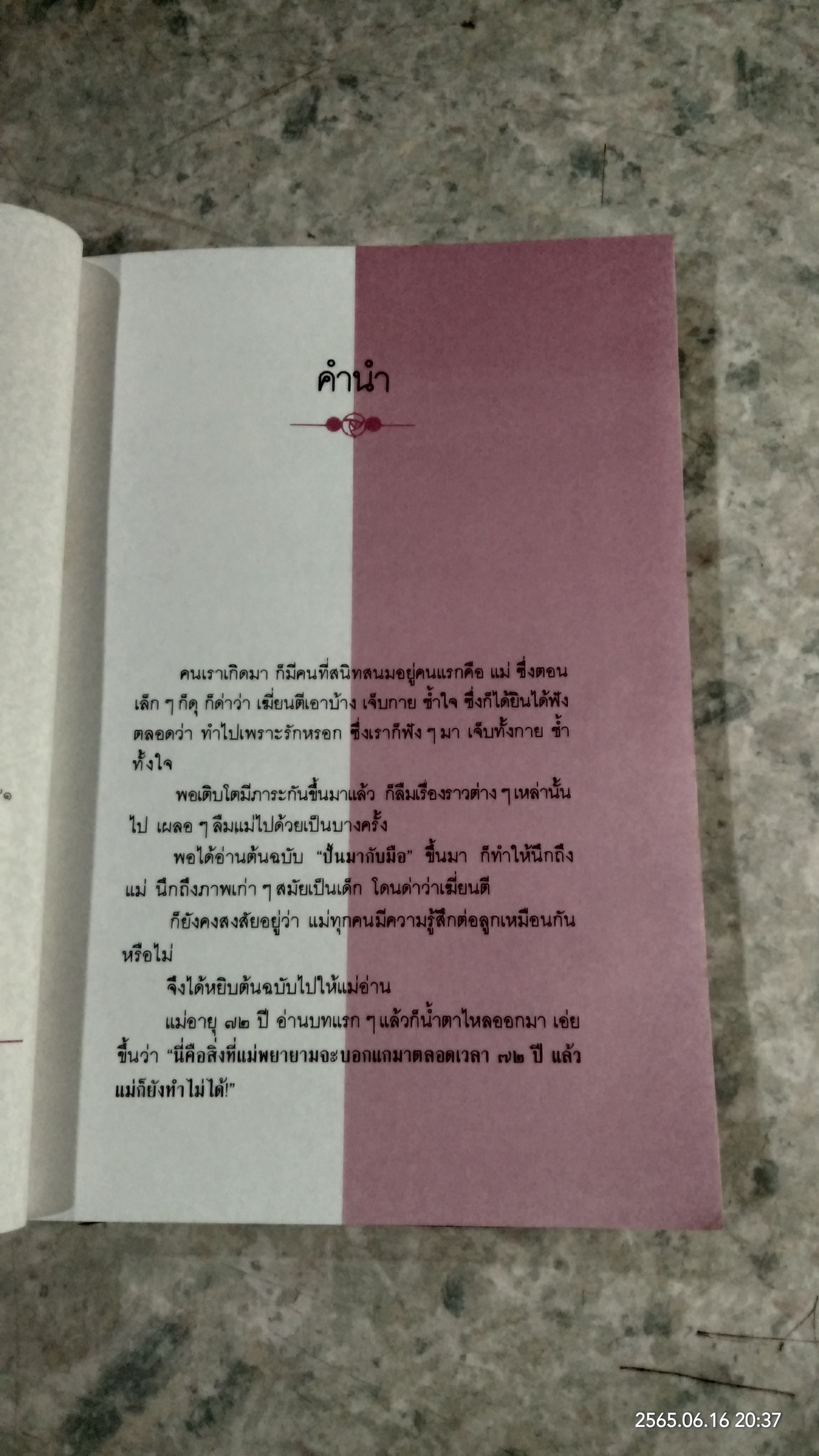 ปั้นมากับมือ / เตือนใจ บัวคลี่