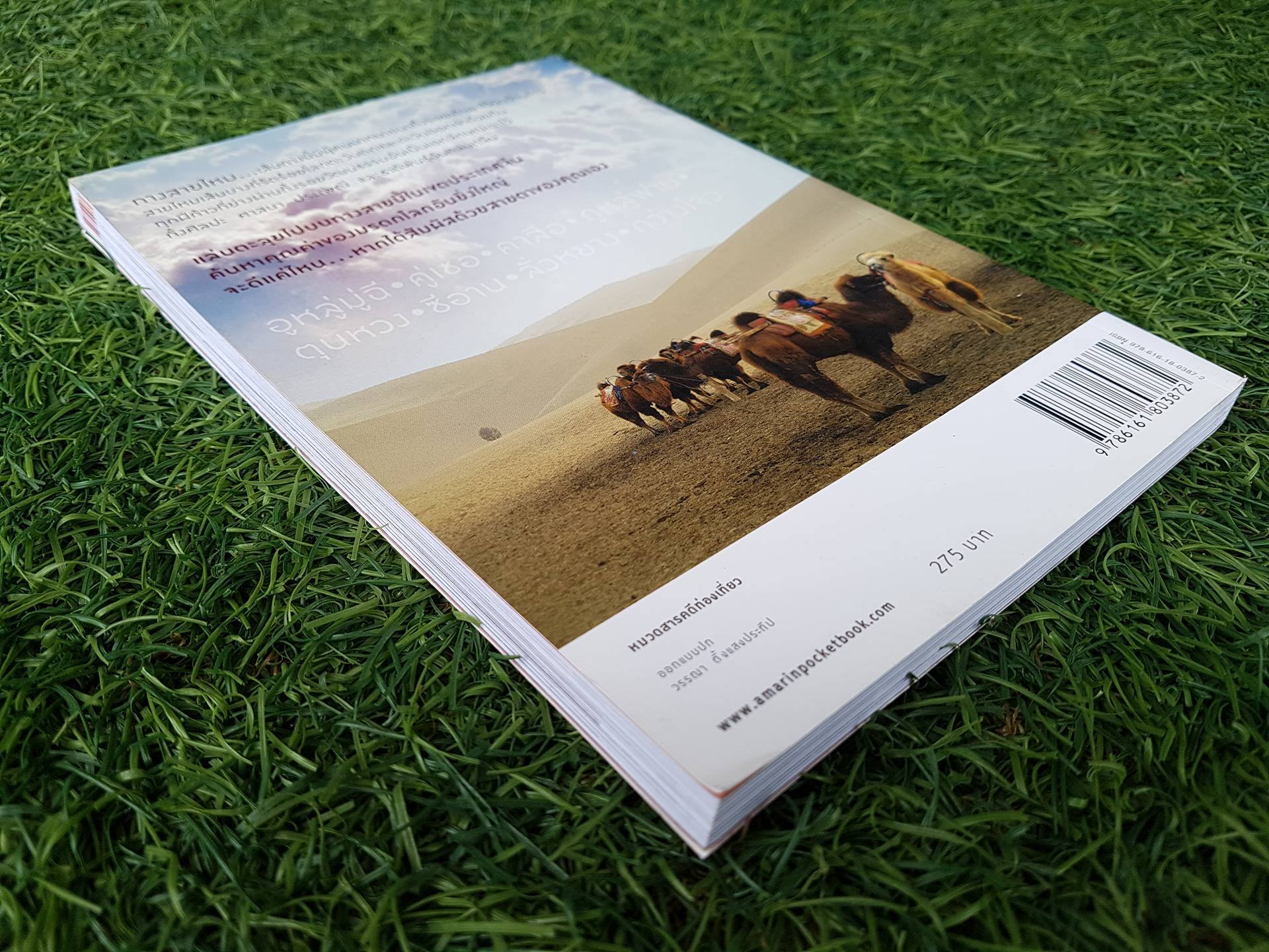 The Silk Road ตะลุยเส้นทางสายไหม / วีรศักดิ์ เทียนธนะวัฒน์