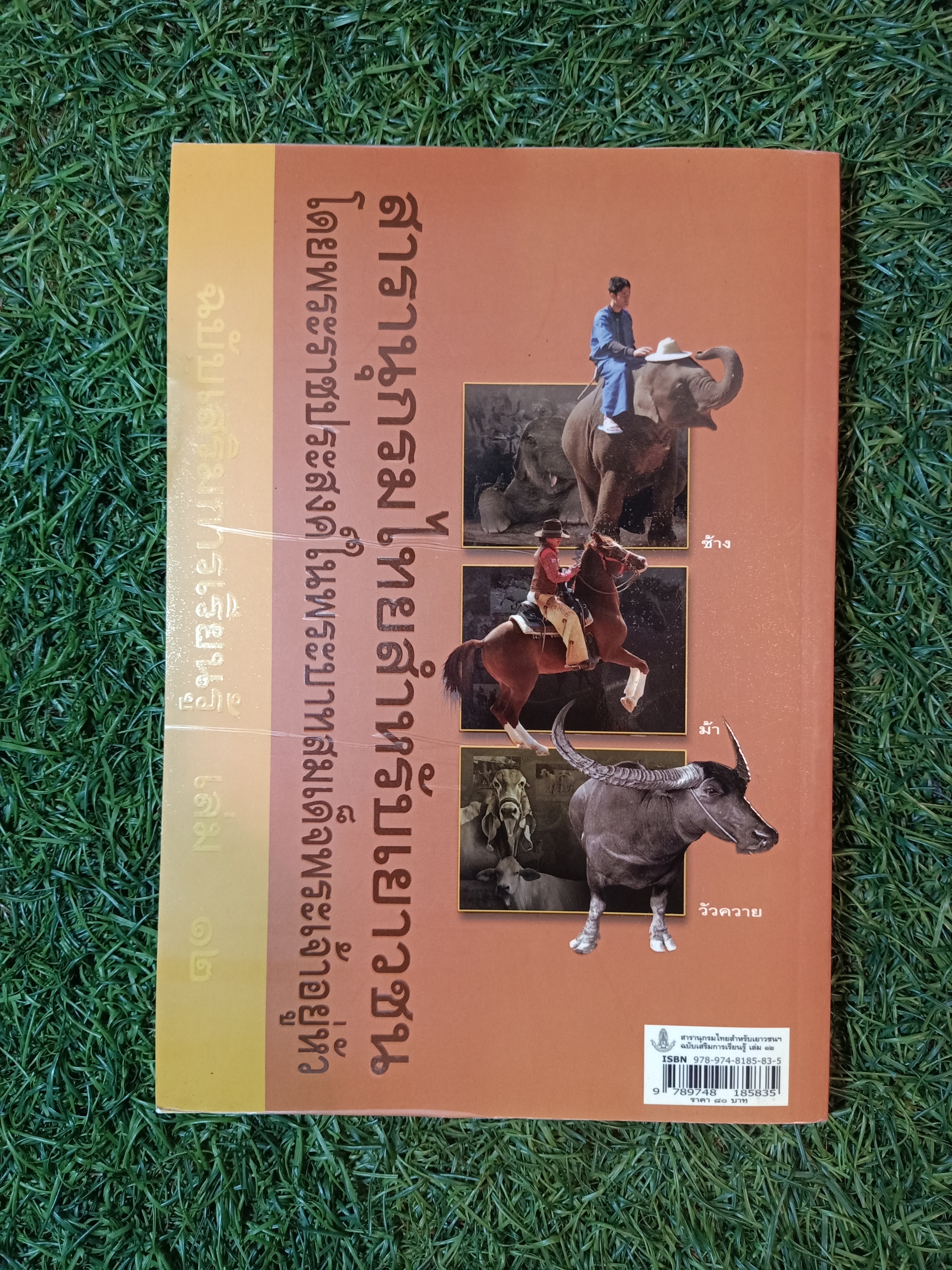 สารานุกรมไทยสำหรับเยาวชน ช้าง ม้า วัวควาย ฉบับเสริมการเรียนรู้ เล่ม ๑๒ / อลงกรณ์ มหรรณพ