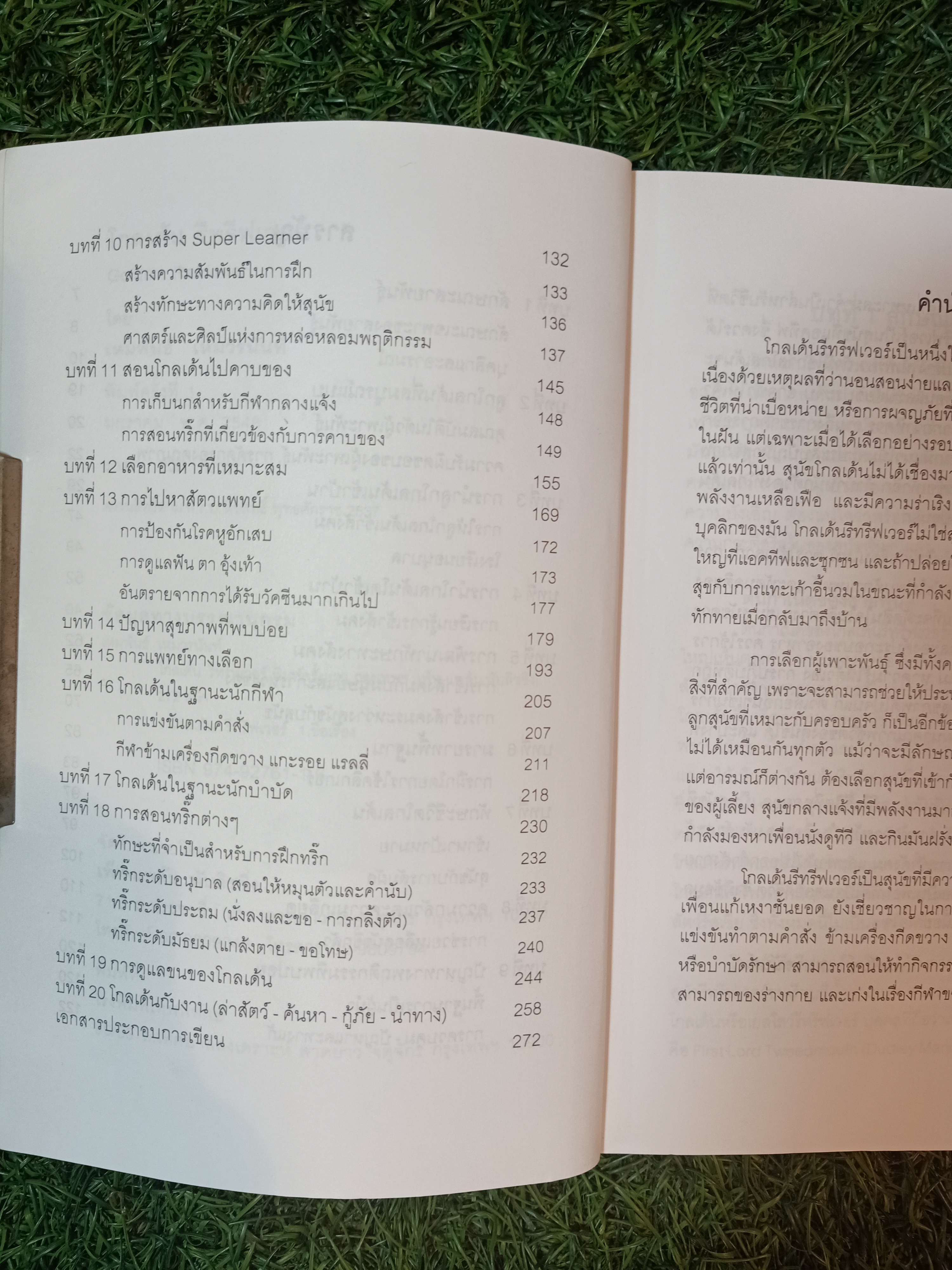 โกลเด้น รีทรีฟเวอร์ / เหมพันธ์ เหมวรนันท์