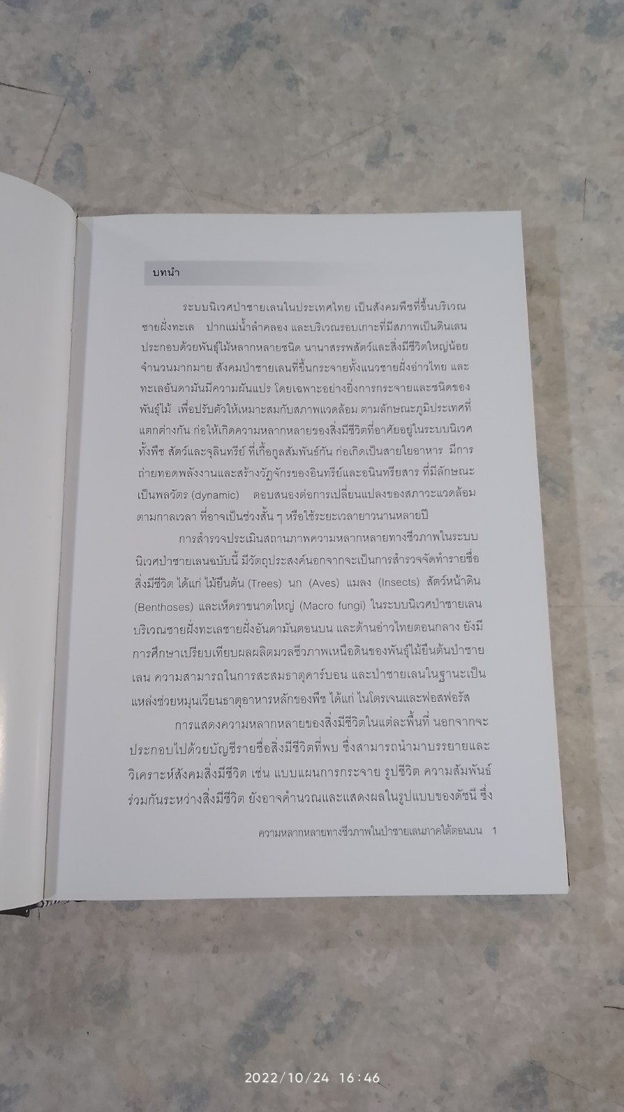 ความหลากหลายทางชีวภาพในป่าชายเลน ภาคใต้ตอนบน