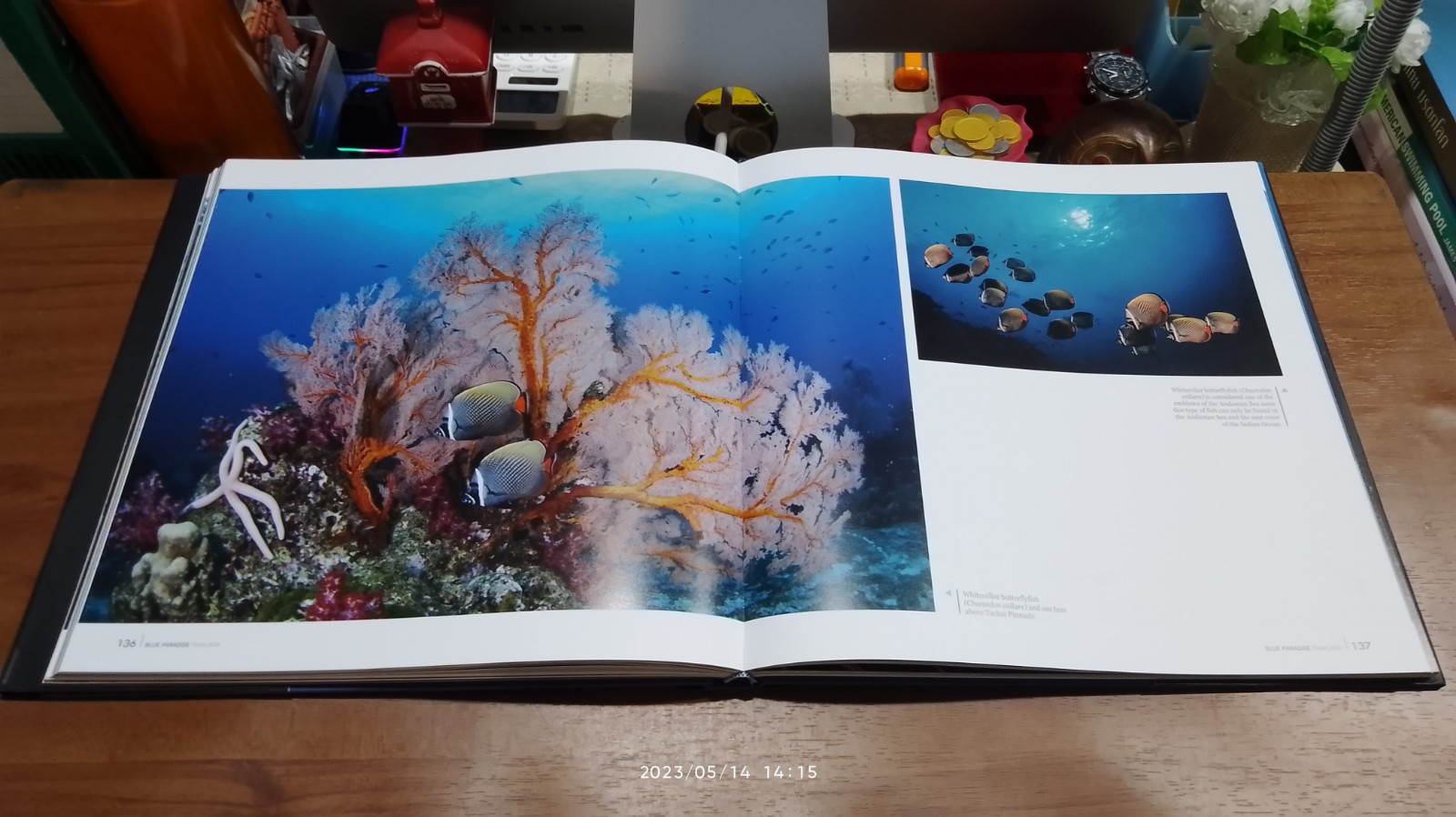 BLUE PARADISE THAILAND