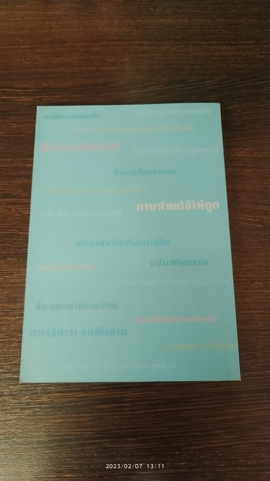 คนไททิ้งแผ่นดิน