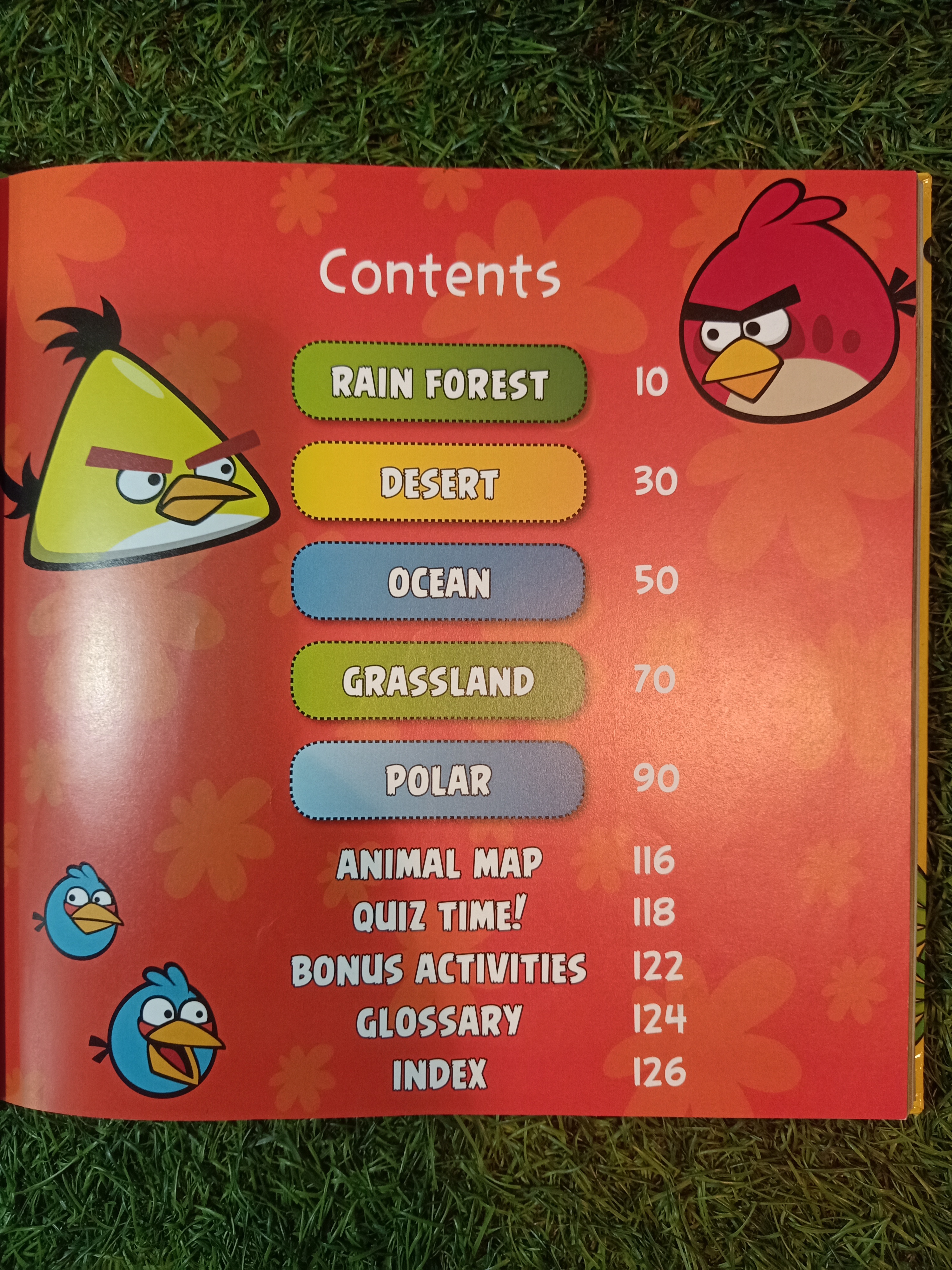 ANGRY BIRDS PLAYGROUND (ANIMALS) / NATIONAL GEOGRAPHIC