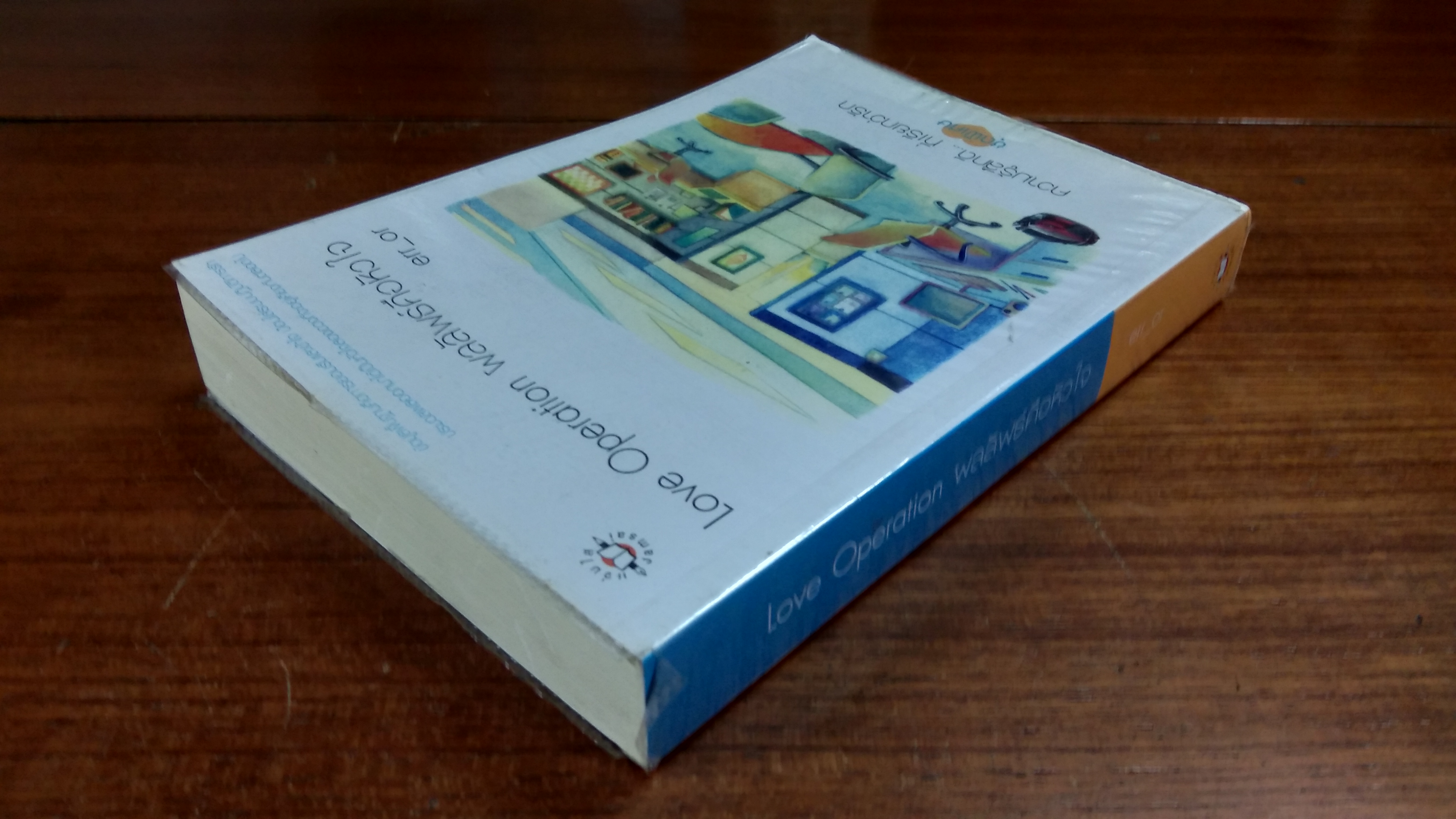 Love Operation ผลลัพธ์คือหัวใจ / err_or