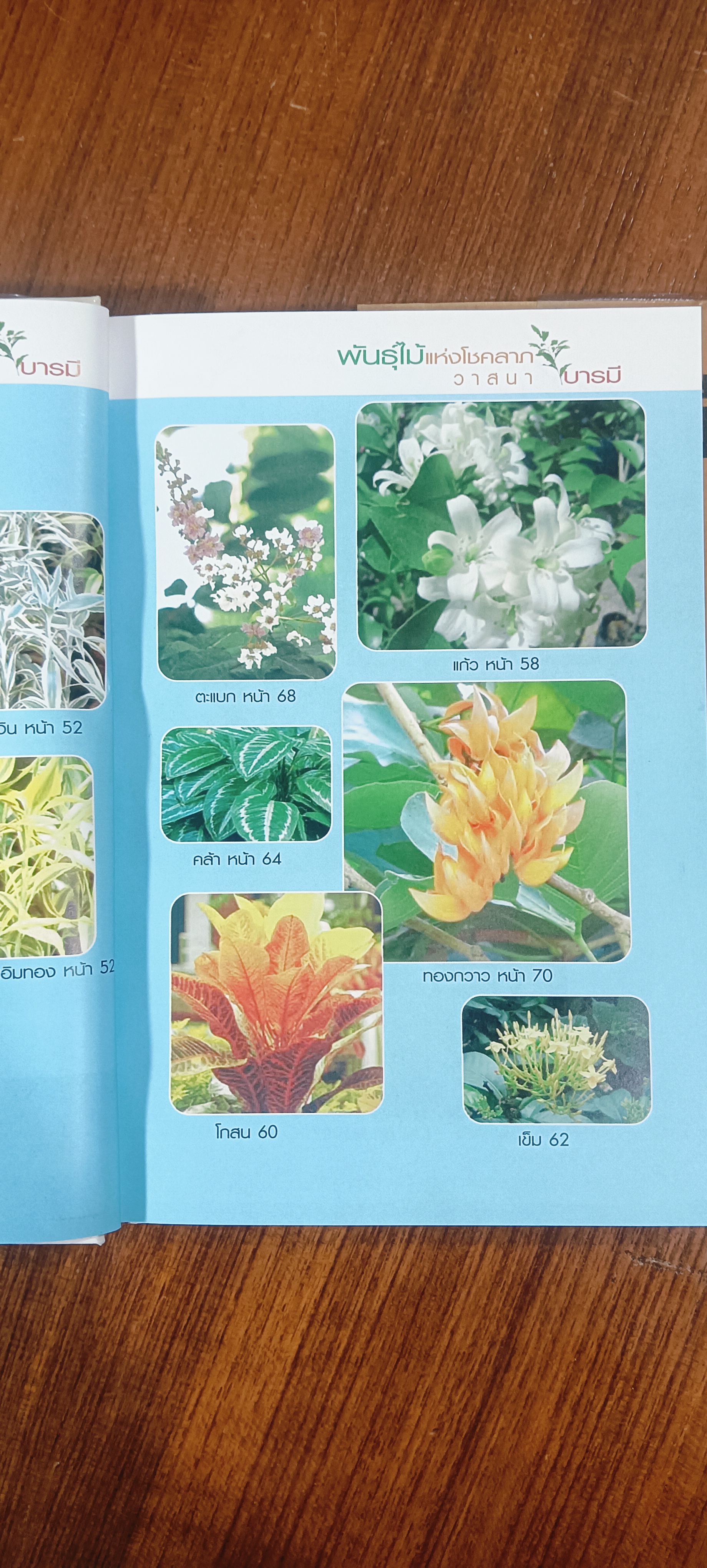 พันธุ์ไม้แห่งโชคลาภ วาสนา บารมี / เจตน์ จิระกูล