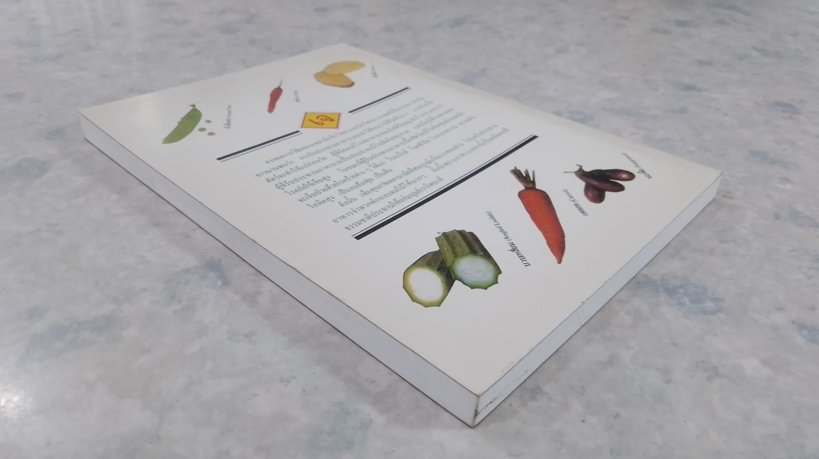 ตำราทำอาหารเจ ๑๐๘ อย่าง / มูลนิธิรัศมีธรรม