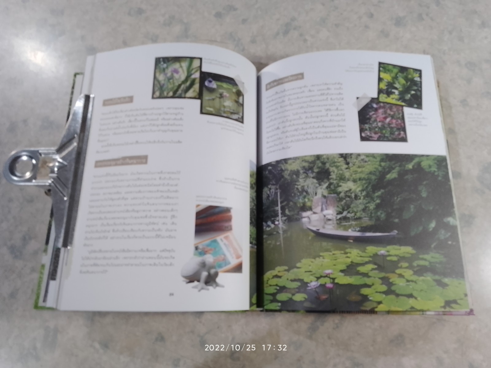 สวนแห่งความทรงจำ / บ้านและสวน