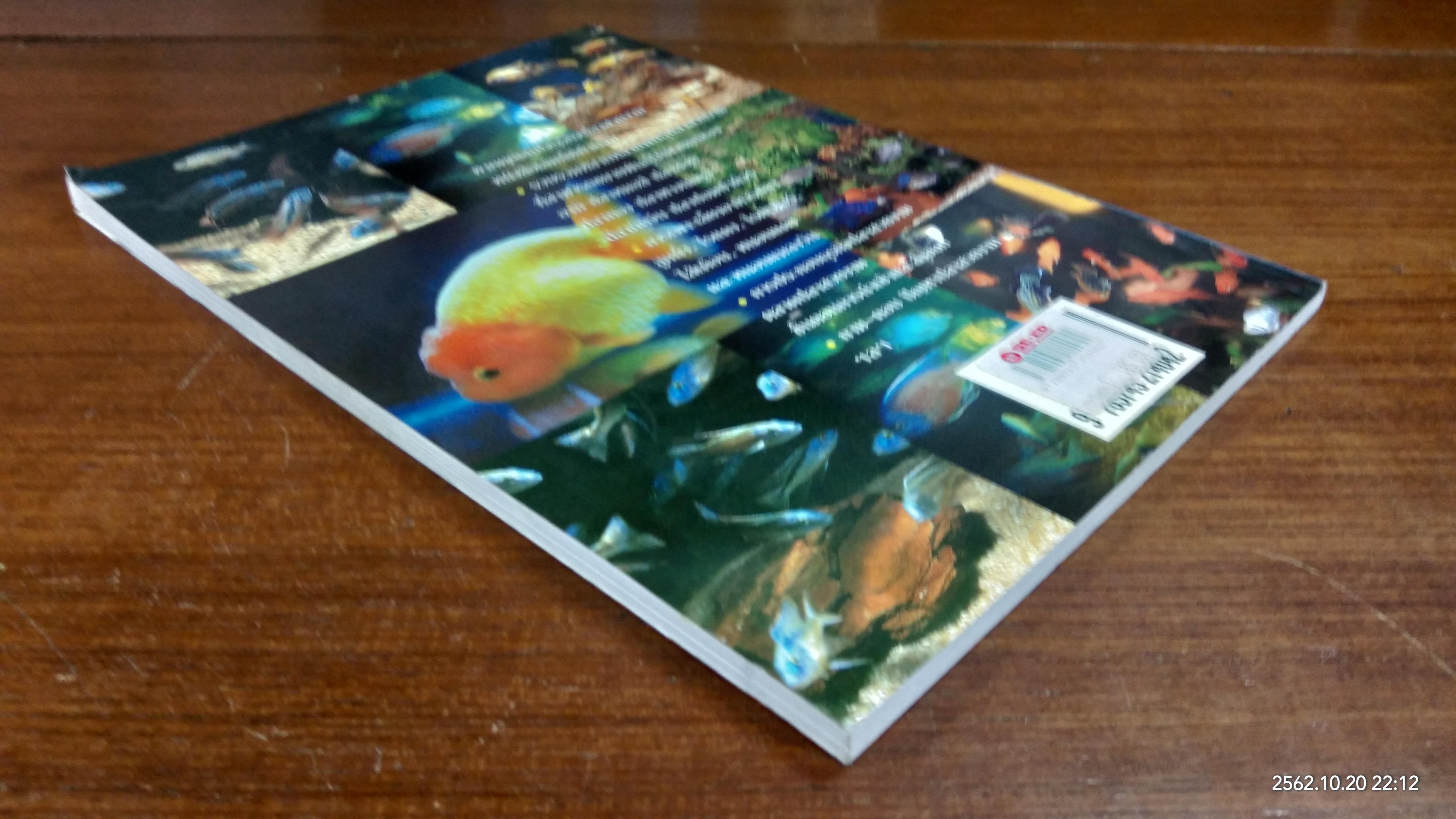 ครบเครื่องธุรกิจปลาสวยงาม / ศุภชัย นิลวานิช