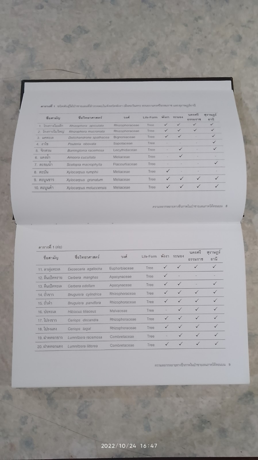 ความหลากหลายทางชีวภาพในป่าชายเลน ภาคใต้ตอนบน