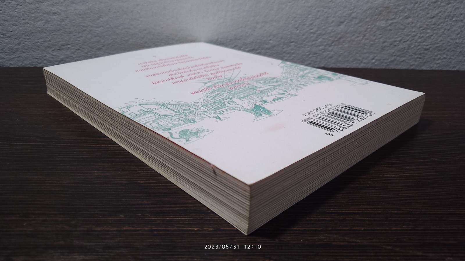 ตามติดชีวิตอินเดีย / พัทธมญส์ กาญจนพันธุ์