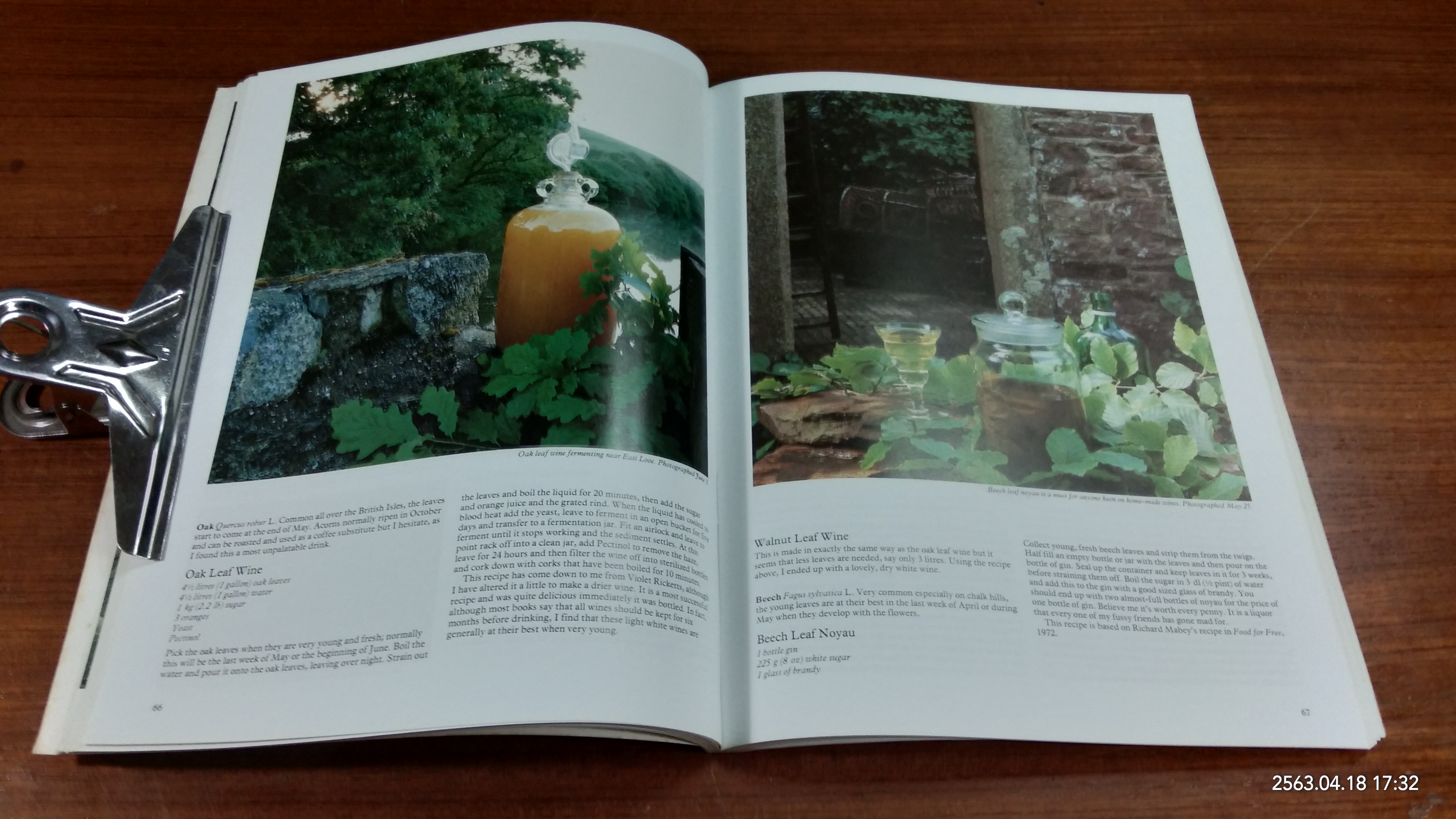 Wild Food / ROGER PHILLPS