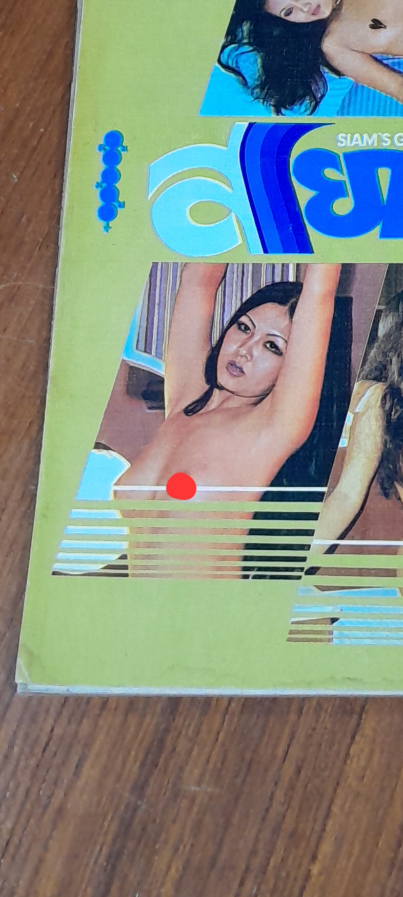 สยามหนุ่ม ฉบับที่ 6