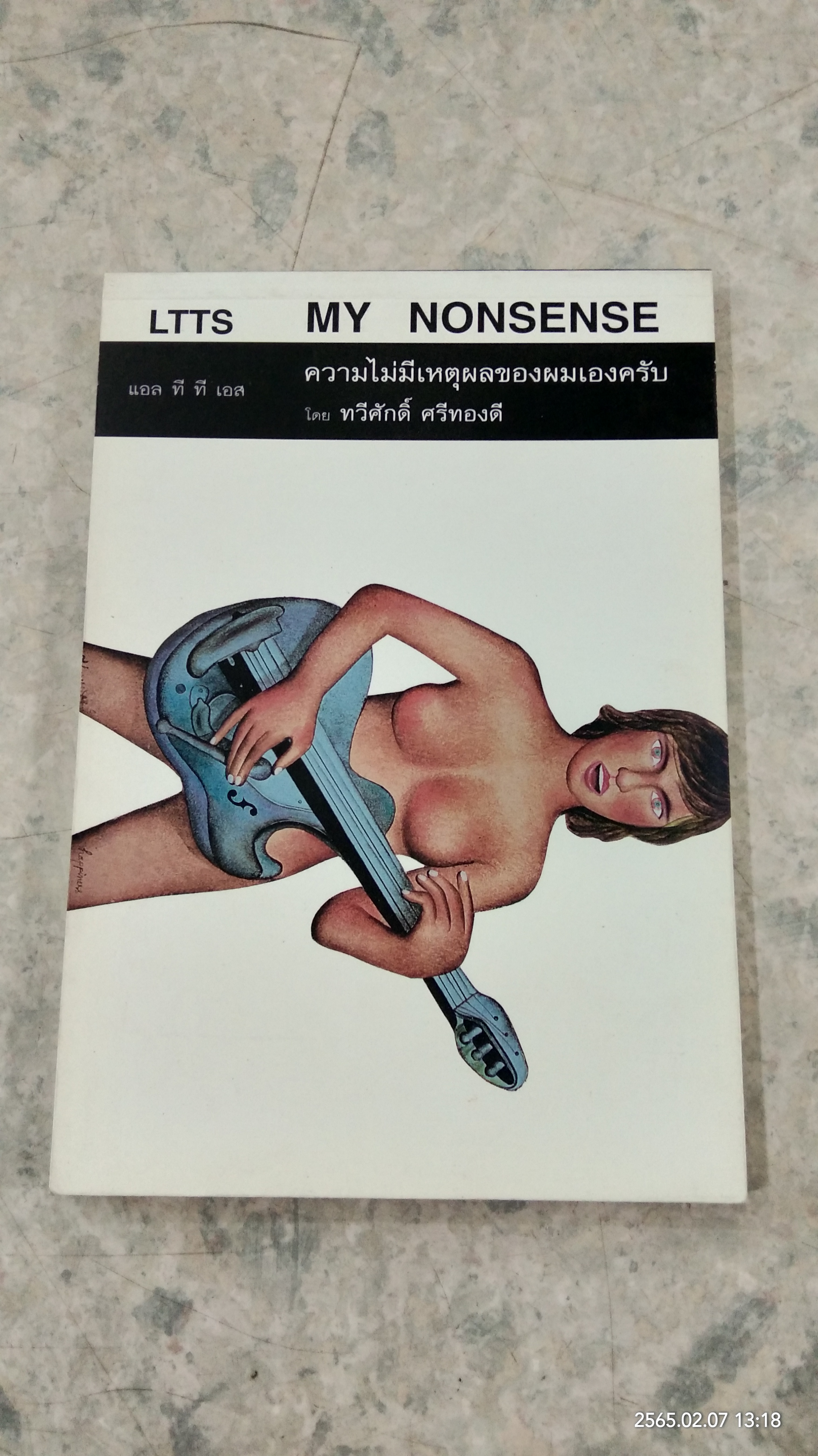 ความไม่มีเหตุผลของผมเองครับ / ทวีศักดิ์ ศรีทองดี